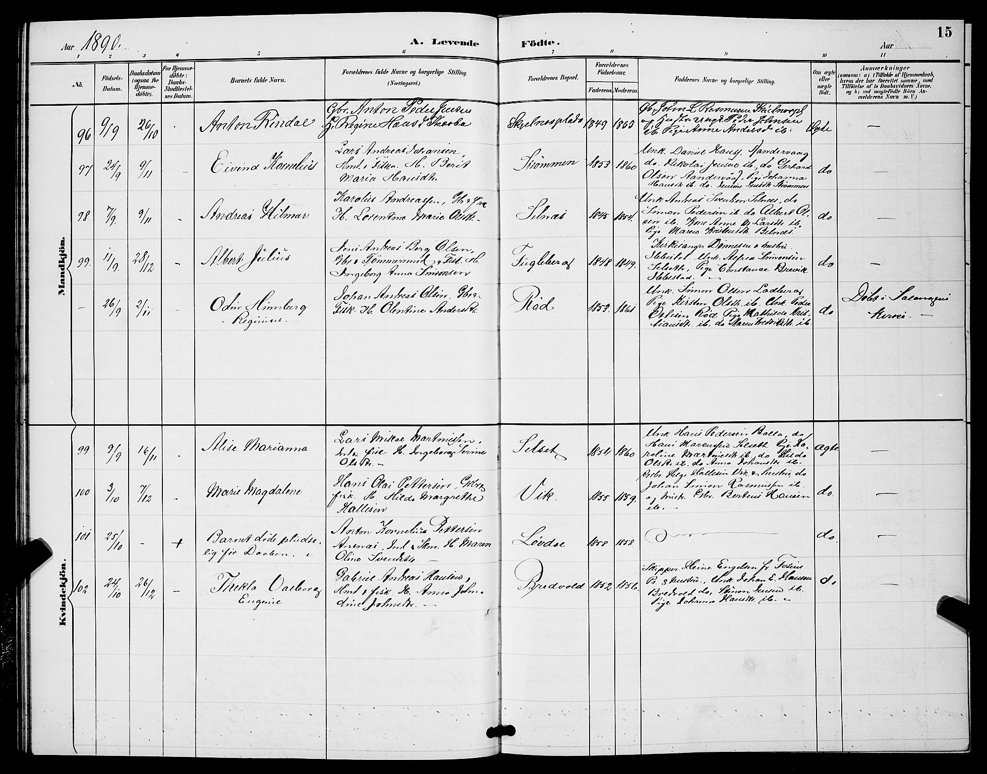 Ibestad sokneprestembete, SATØ/S-0077/H/Ha/Hab/L0008klokker: Parish register (copy) no. 8, 1890-1903, p. 15