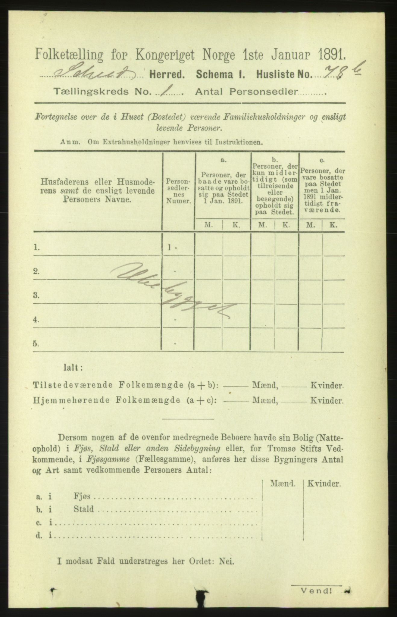 RA, 1891 census for 1732 Skei, 1891, p. 160