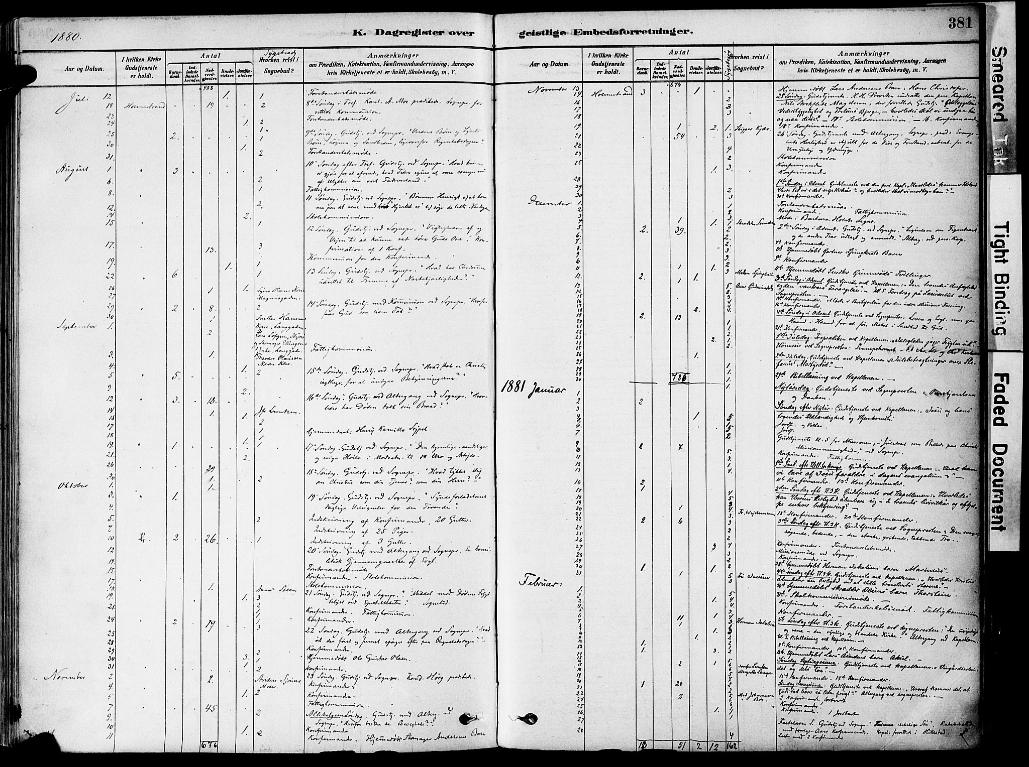 Holmestrand kirkebøker, AV/SAKO-A-346/F/Fa/L0004: Parish register (official) no. 4, 1880-1901, p. 381