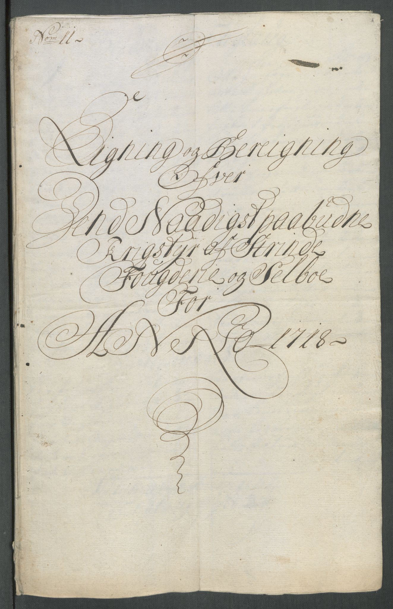 Rentekammeret inntil 1814, Reviderte regnskaper, Fogderegnskap, RA/EA-4092/R61/L4116: Fogderegnskap Strinda og Selbu, 1717-1718, p. 399