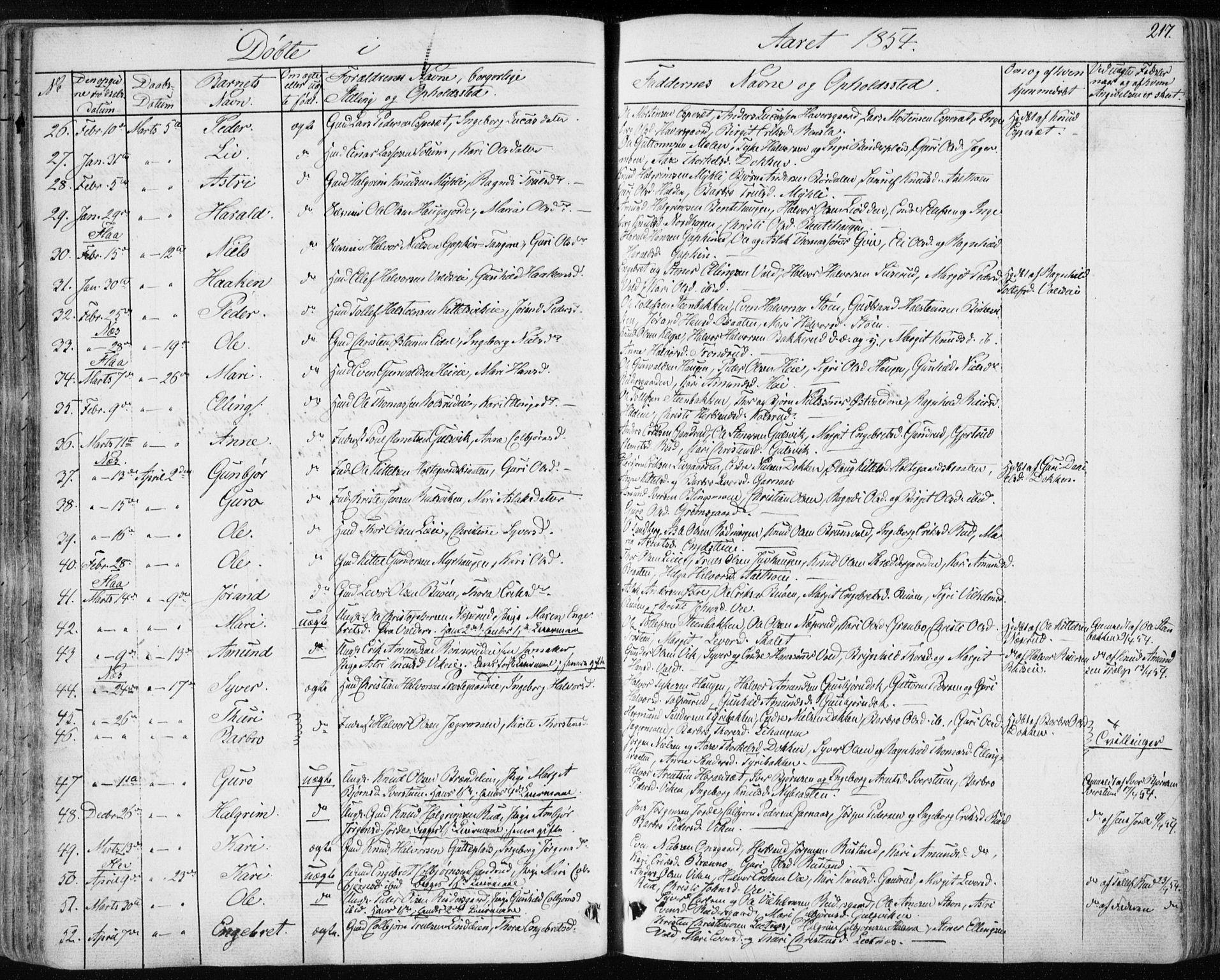 Nes kirkebøker, AV/SAKO-A-236/F/Fa/L0009: Parish register (official) no. 9, 1834-1863, p. 217