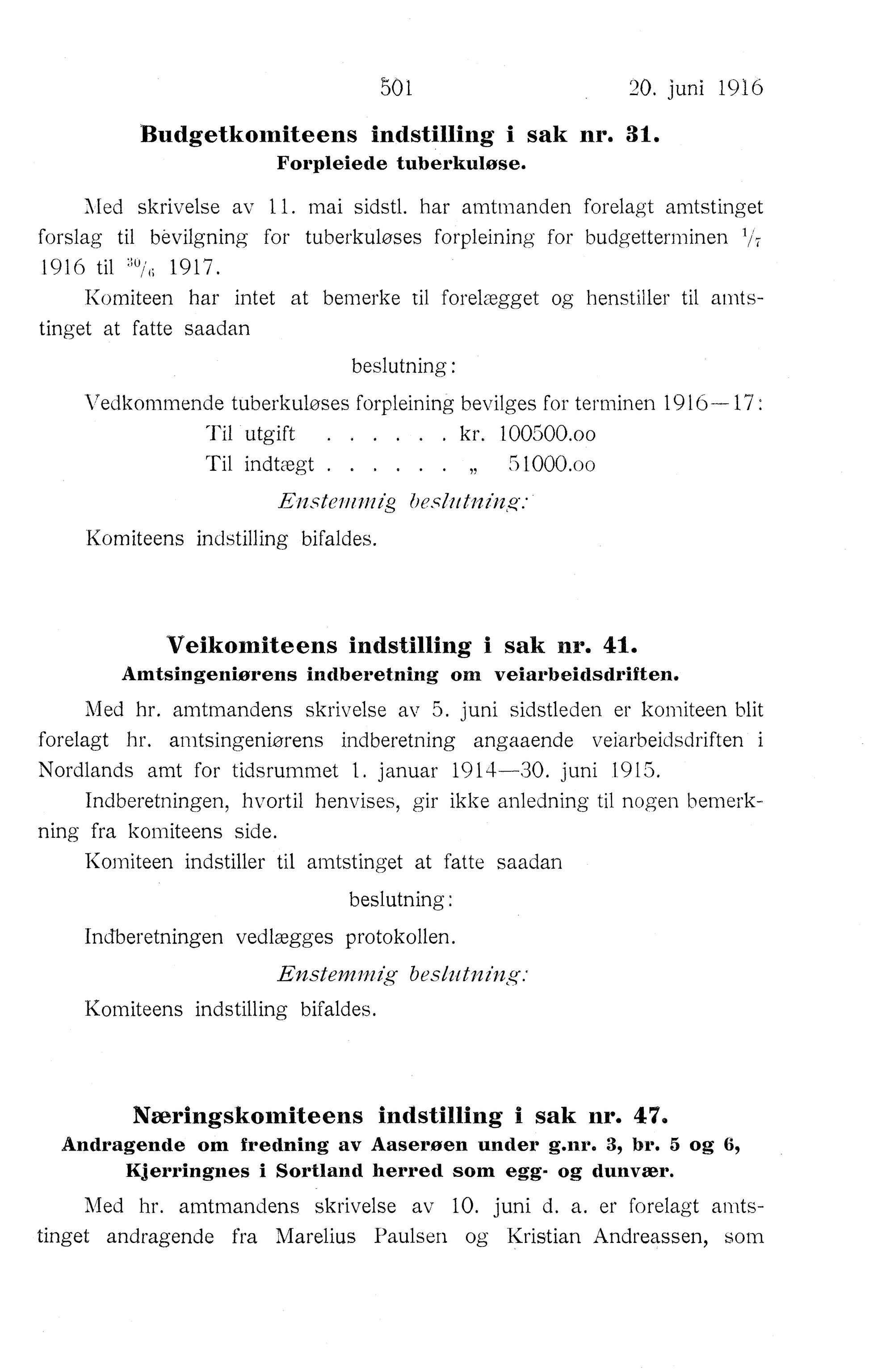 Nordland Fylkeskommune. Fylkestinget, AIN/NFK-17/176/A/Ac/L0039: Fylkestingsforhandlinger 1916, 1916