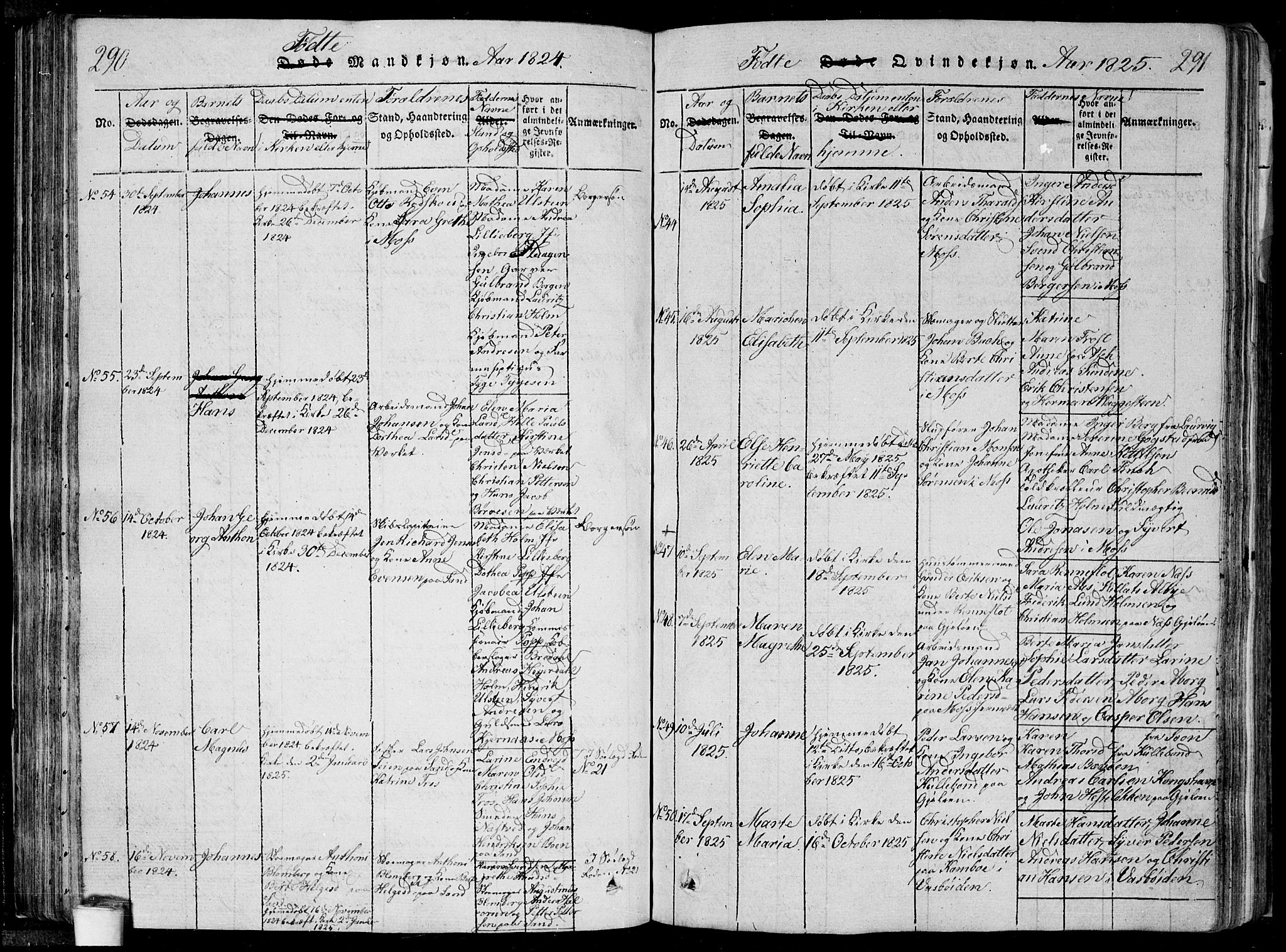 Moss prestekontor Kirkebøker, SAO/A-2003/F/Fa/L0005: Parish register (official) no. I 5, 1814-1828, p. 290-291