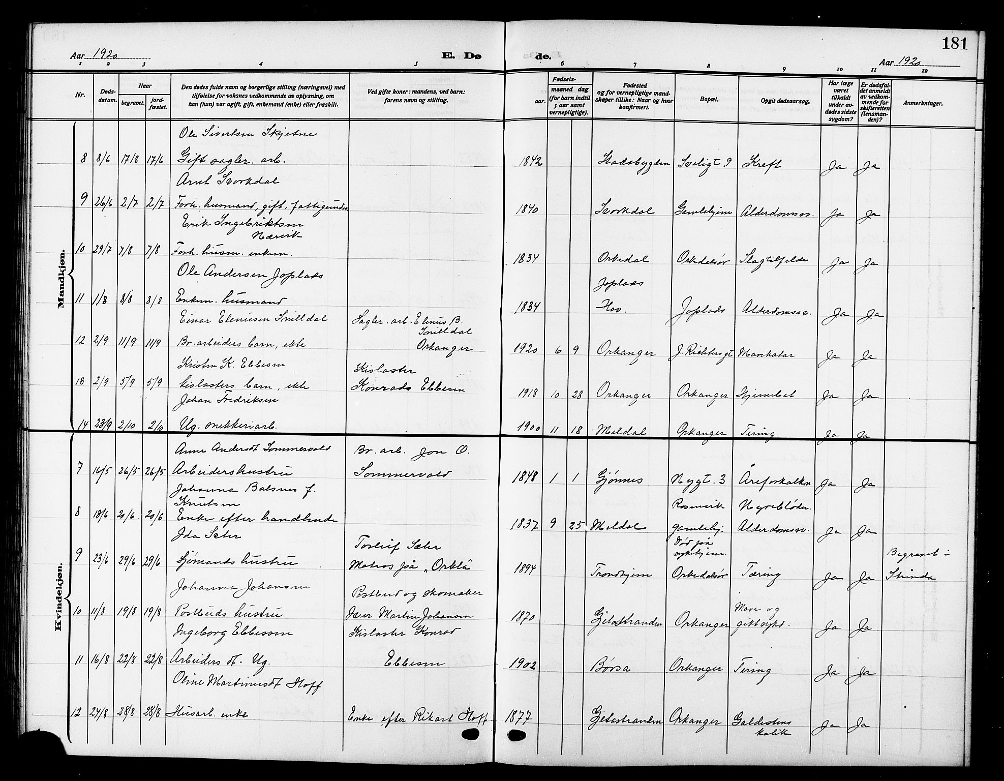 Ministerialprotokoller, klokkerbøker og fødselsregistre - Sør-Trøndelag, AV/SAT-A-1456/669/L0831: Parish register (copy) no. 669C01, 1909-1924, p. 181