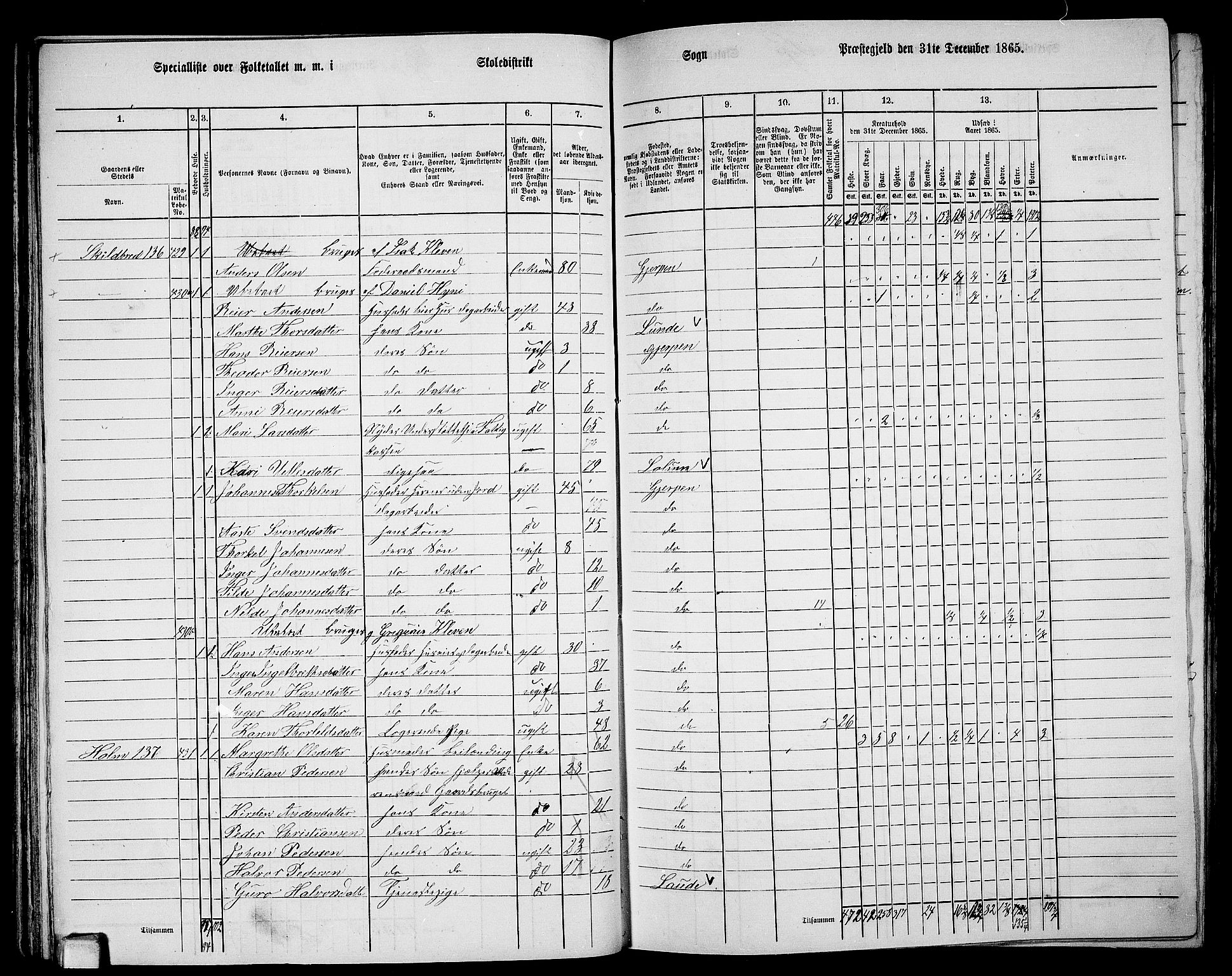 RA, 1865 census for Gjerpen, 1865, p. 104