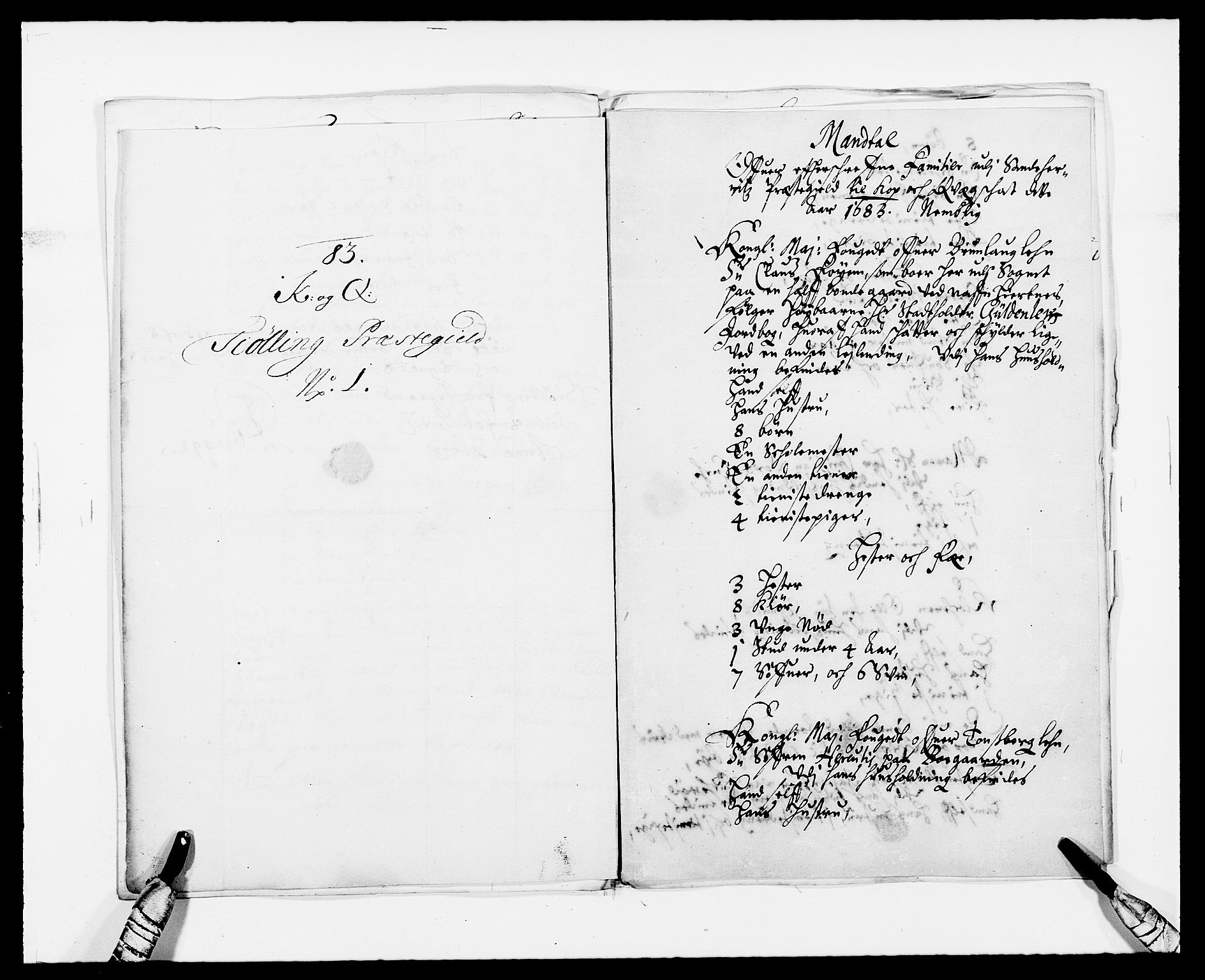 Rentekammeret inntil 1814, Reviderte regnskaper, Fogderegnskap, RA/EA-4092/R33/L1969: Fogderegnskap Larvik grevskap, 1675-1687, p. 308