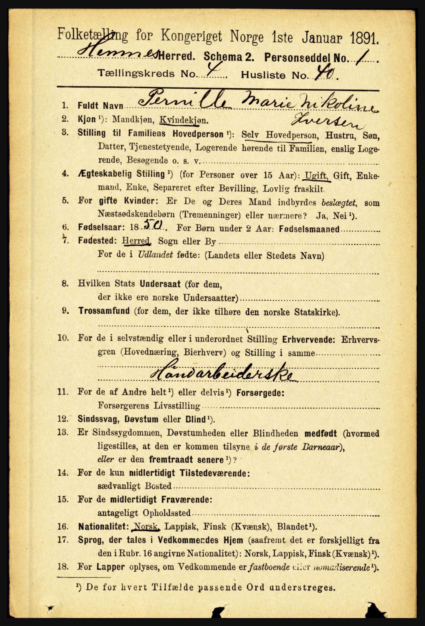 RA, 1891 census for 1832 Hemnes, 1891, p. 2490