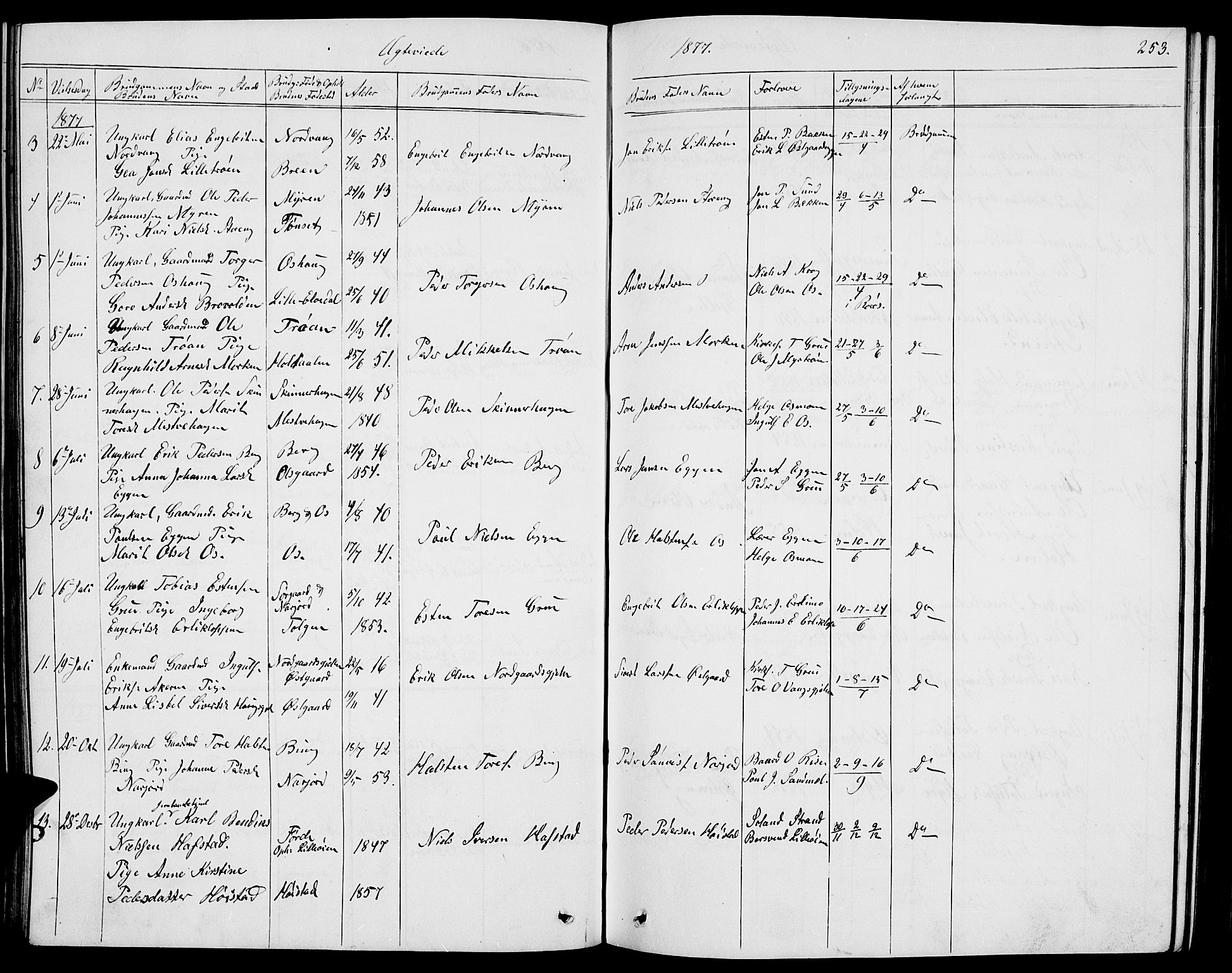 Tolga prestekontor, AV/SAH-PREST-062/L/L0004: Parish register (copy) no. 4, 1845-1887, p. 253