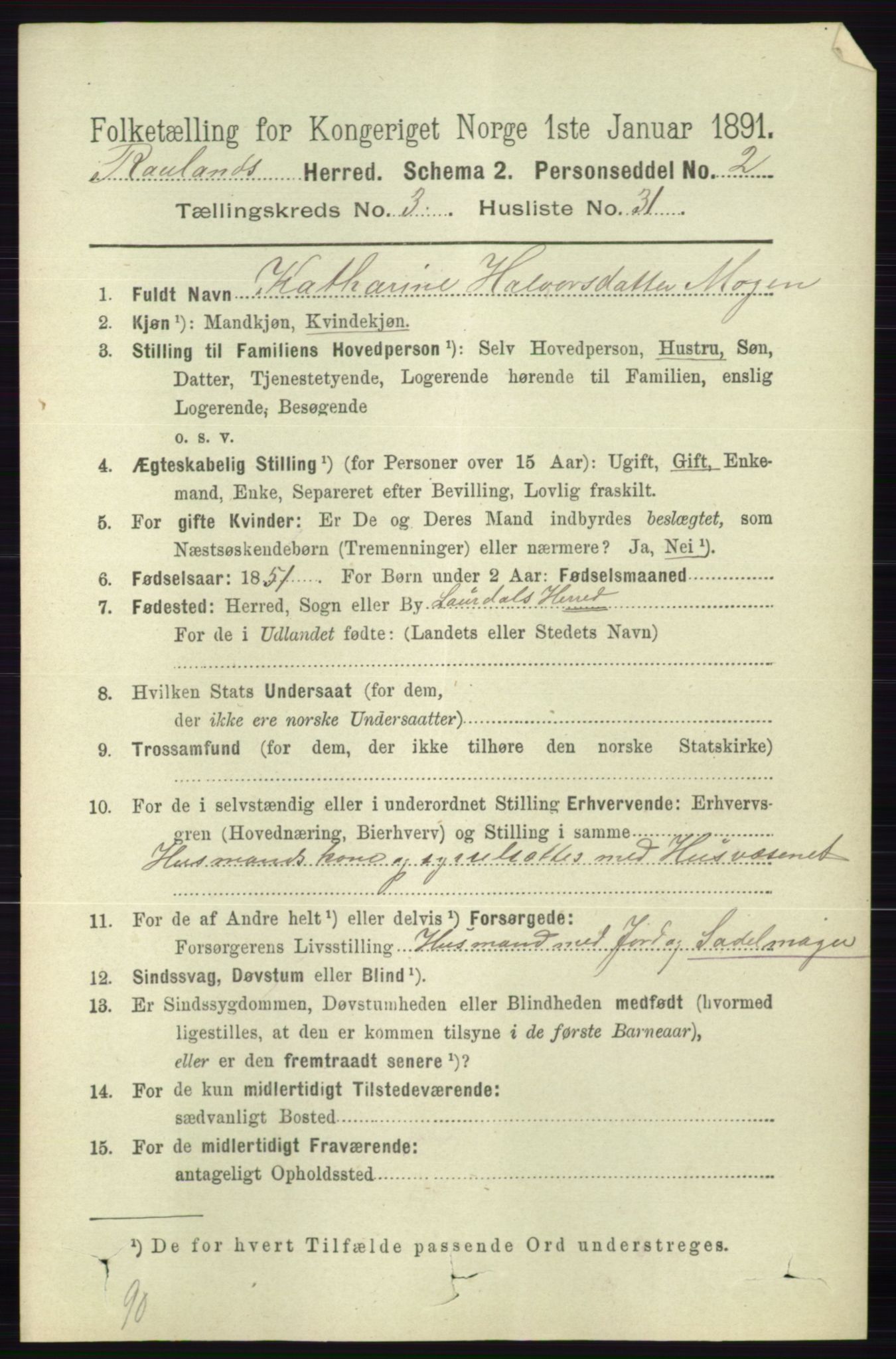 RA, 1891 census for 0835 Rauland, 1891, p. 979