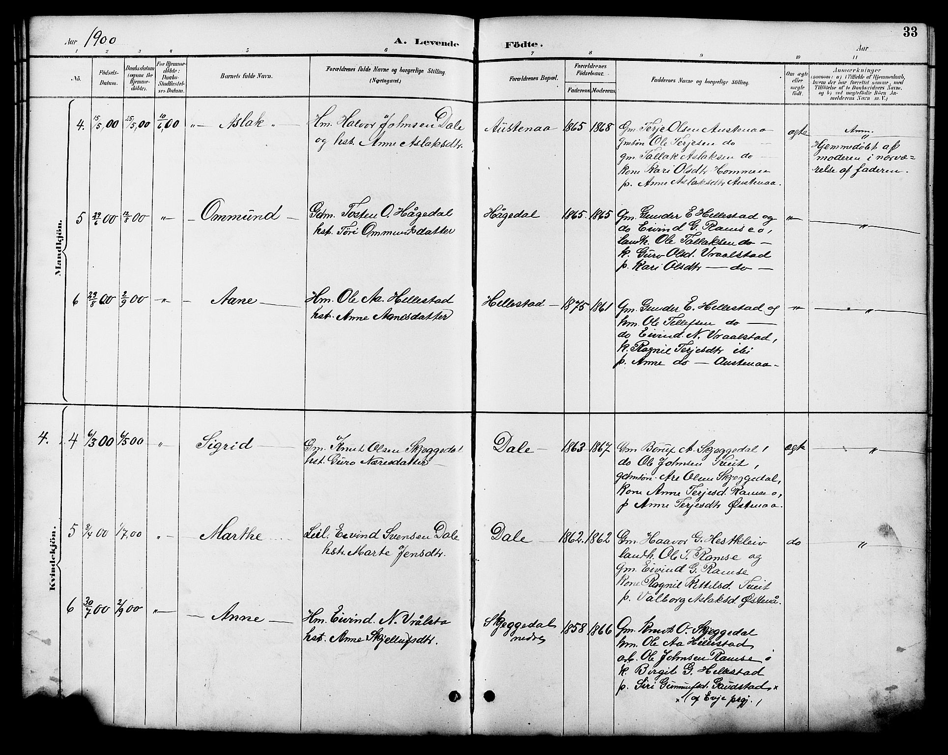 Åmli sokneprestkontor, SAK/1111-0050/F/Fb/Fbb/L0002: Parish register (copy) no. B 2, 1890-1905, p. 33