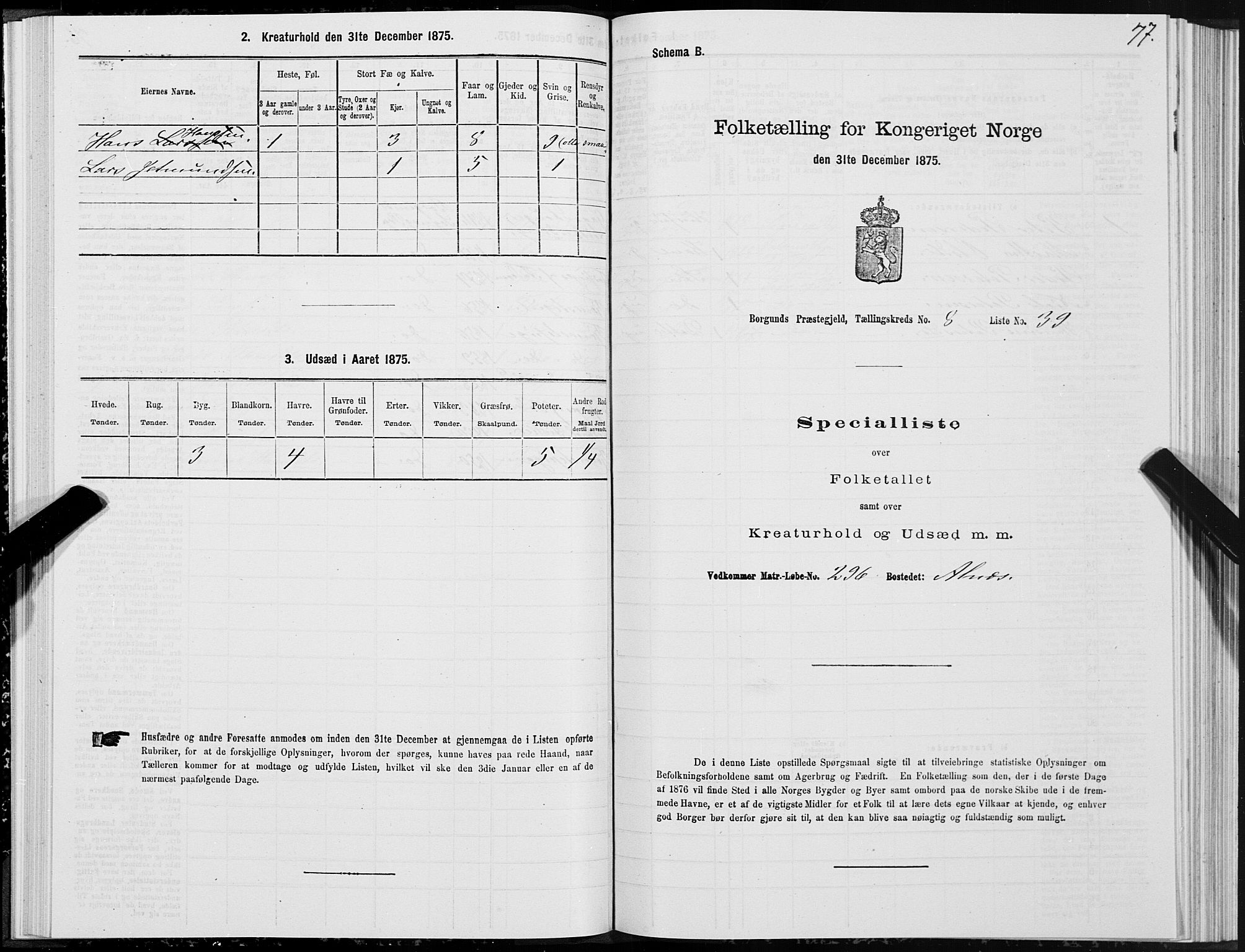 SAT, 1875 census for 1531P Borgund, 1875, p. 5077