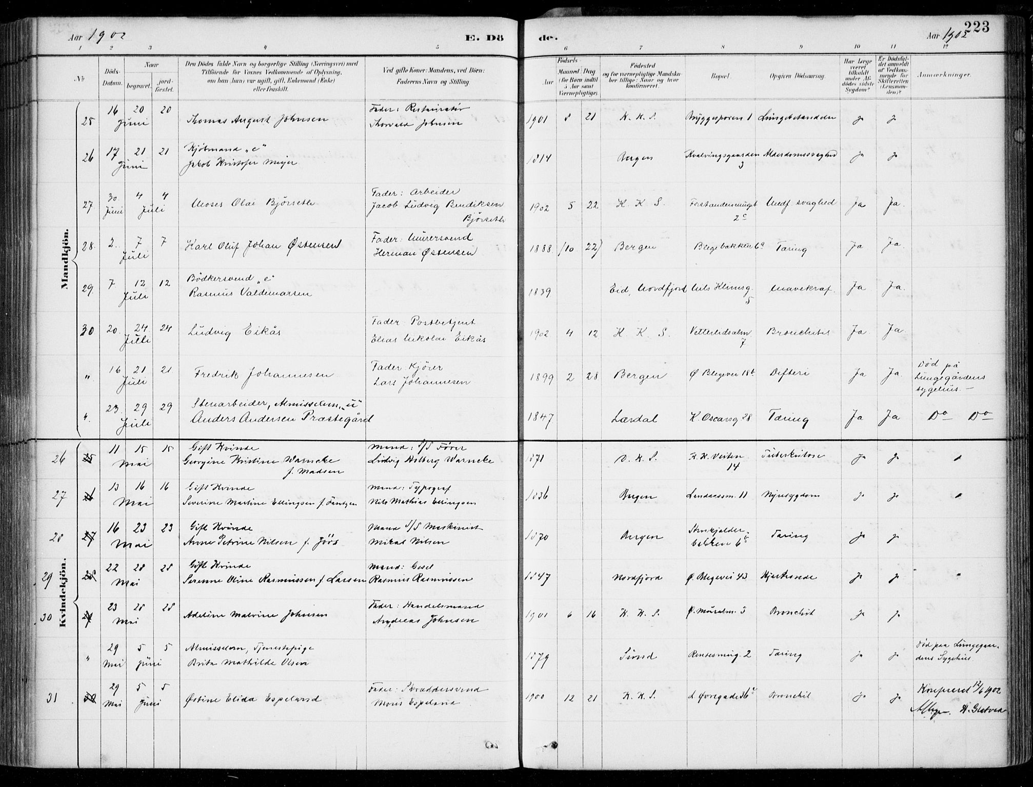 Korskirken sokneprestembete, AV/SAB-A-76101/H/Hab: Parish register (copy) no. E 4, 1884-1910, p. 223