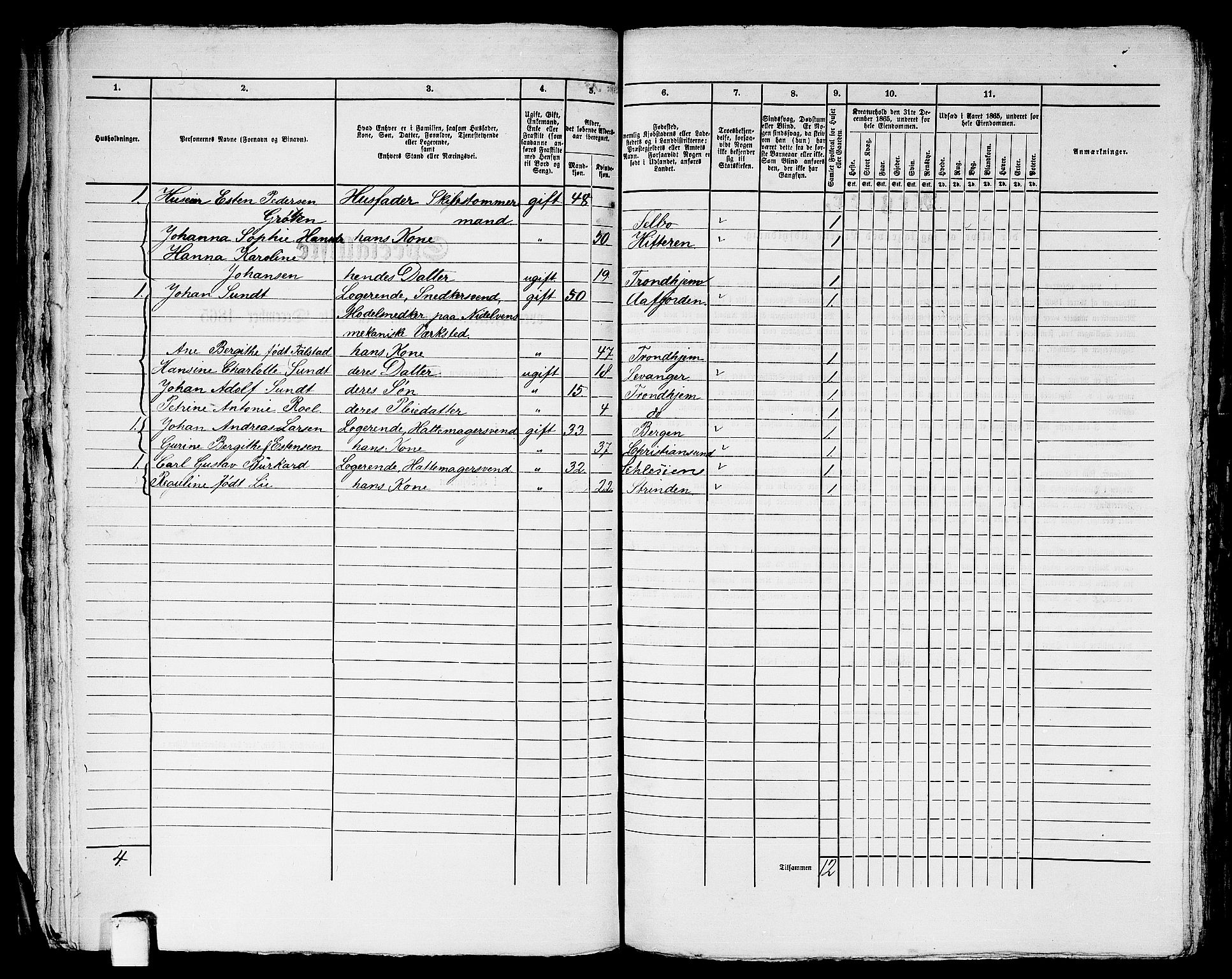 RA, 1865 census for Trondheim, 1865, p. 2724