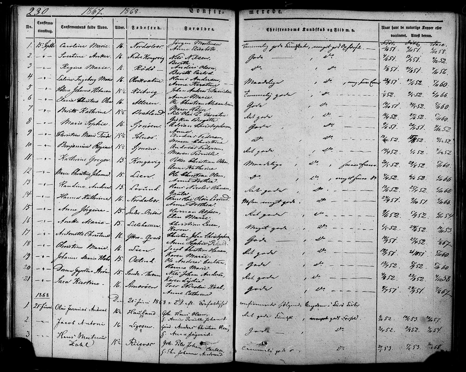 Ministerialprotokoller, klokkerbøker og fødselsregistre - Nordland, SAT/A-1459/839/L0567: Parish register (official) no. 839A04, 1863-1879, p. 230