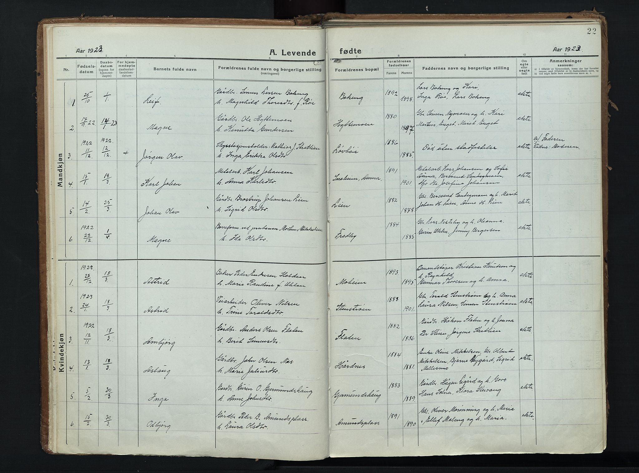 Alvdal prestekontor, SAH/PREST-060/H/Ha/Haa/L0006: Parish register (official) no. 6, 1920-1937, p. 22