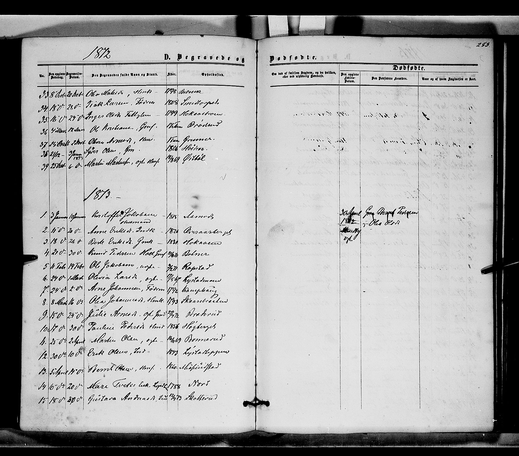 Brandval prestekontor, SAH/PREST-034/H/Ha/Haa/L0001: Parish register (official) no. 1, 1864-1879, p. 283