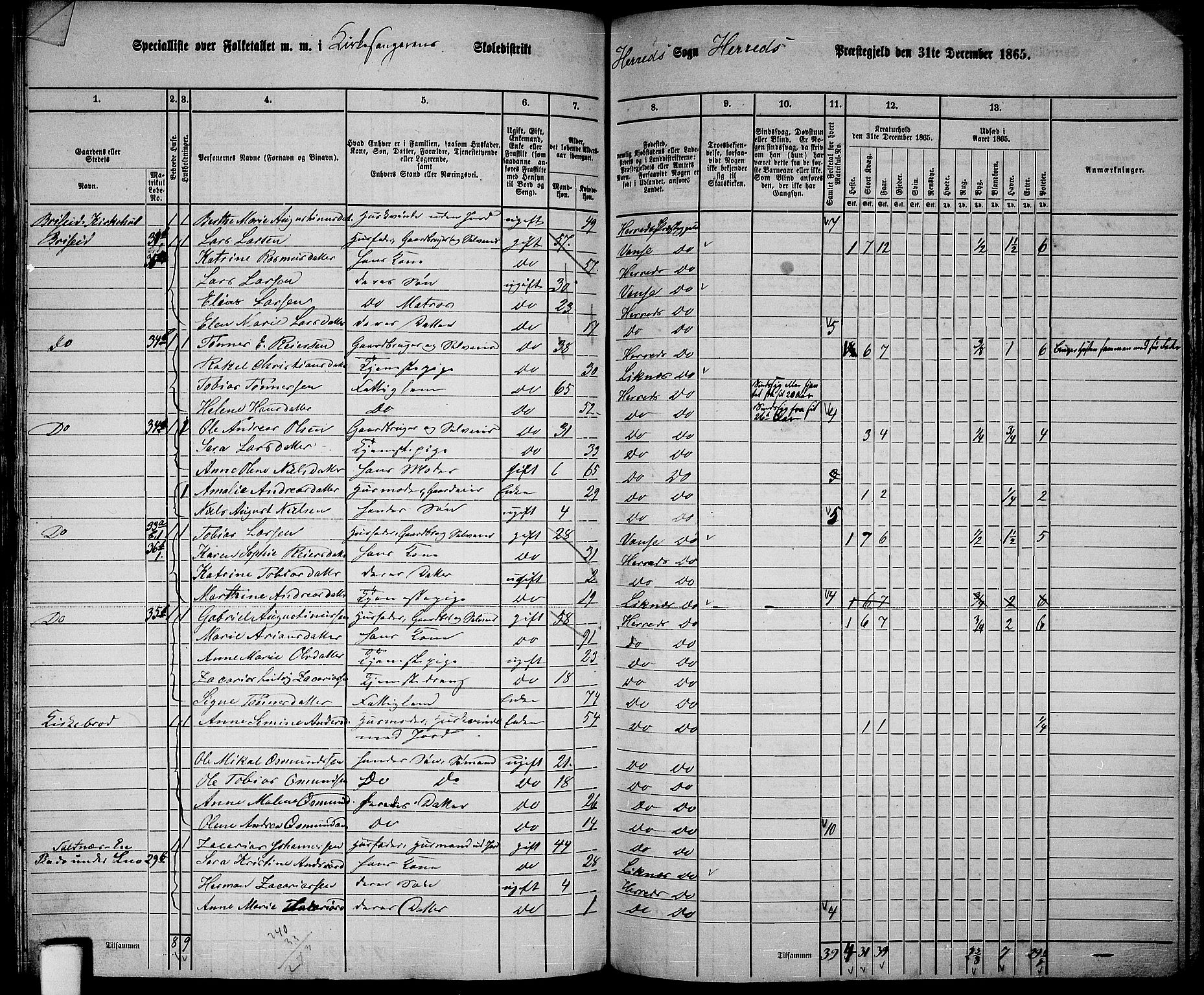 RA, 1865 census for Herad, 1865, p. 17