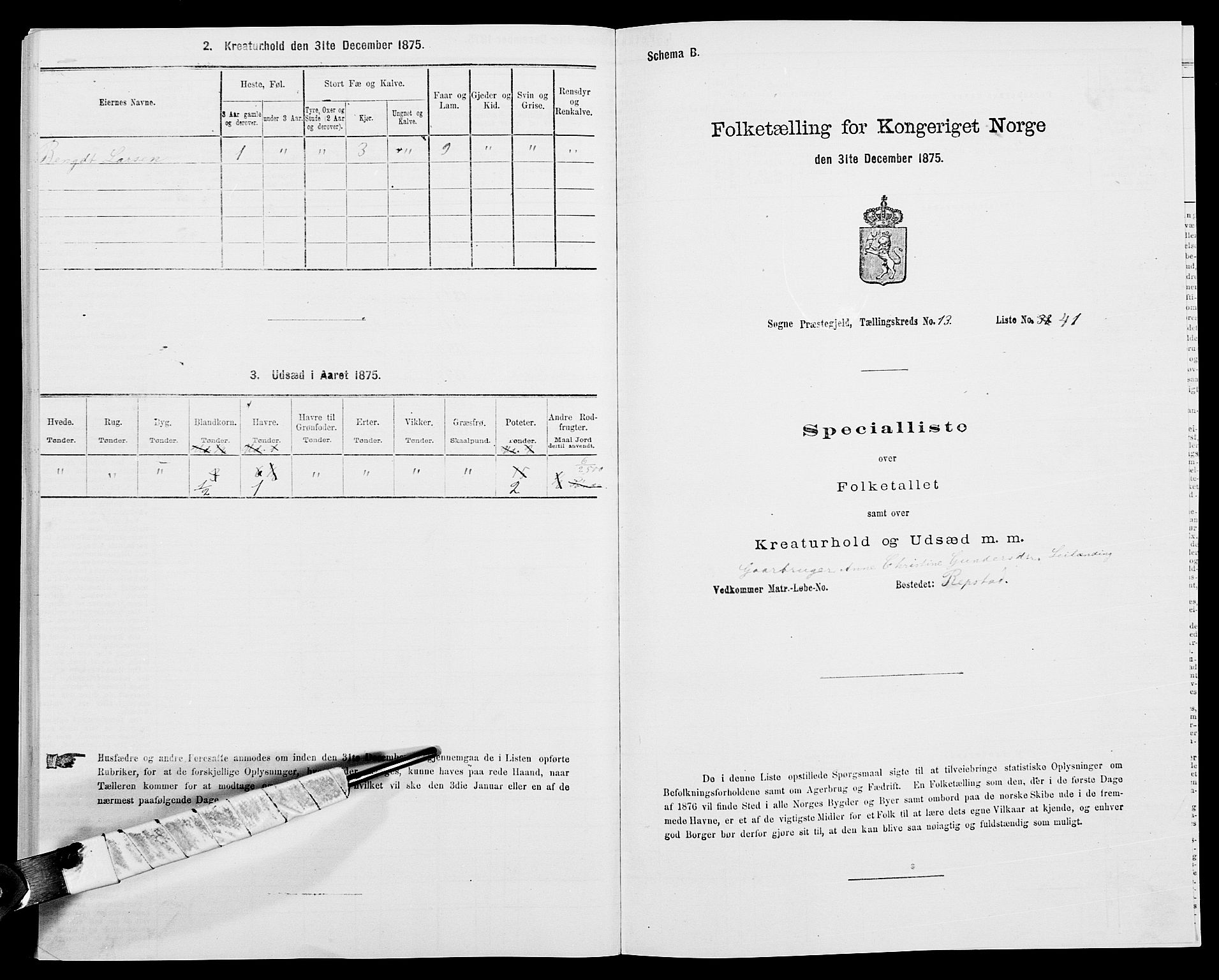 SAK, 1875 census for 1018P Søgne, 1875, p. 996