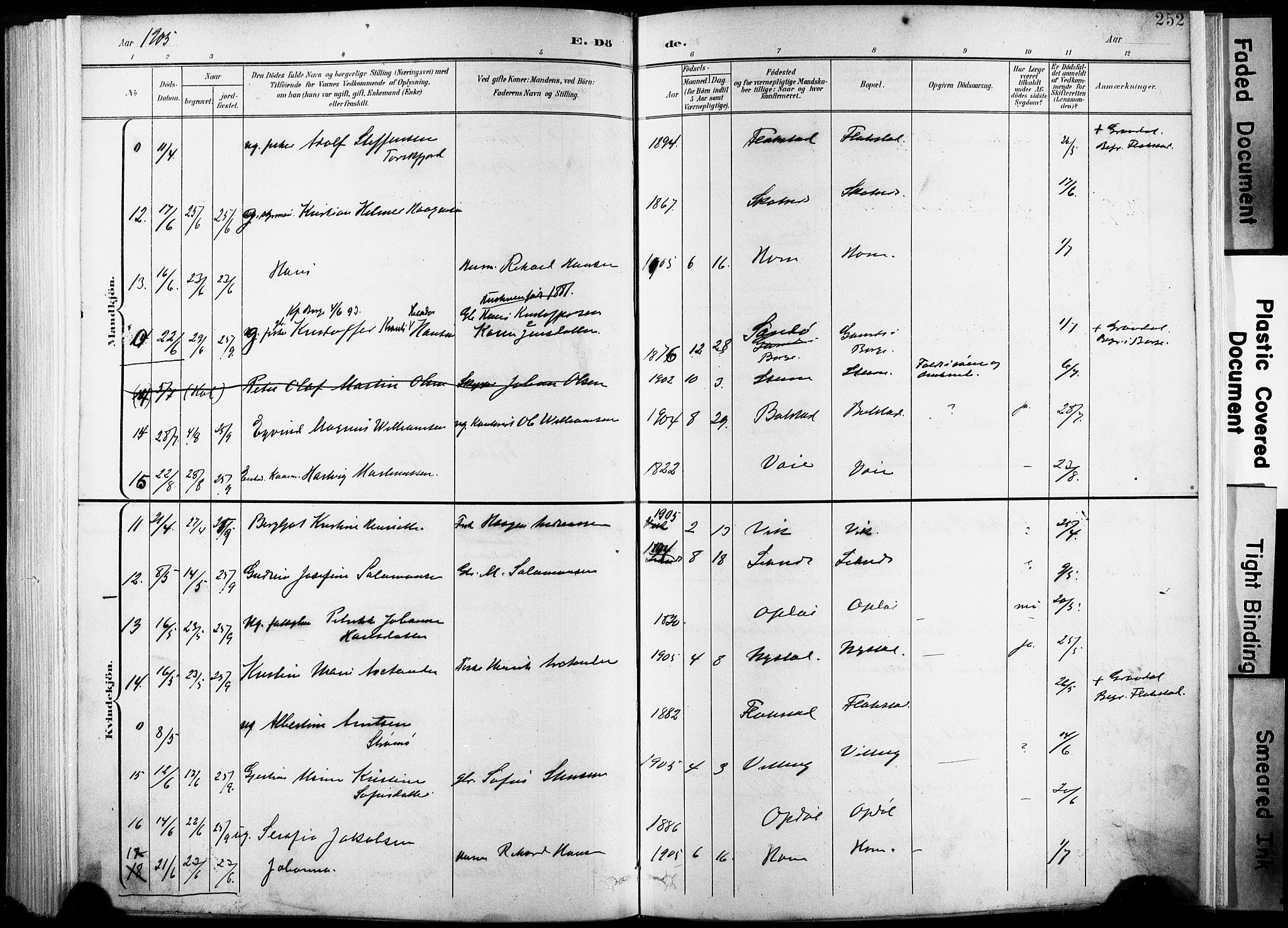 Ministerialprotokoller, klokkerbøker og fødselsregistre - Nordland, AV/SAT-A-1459/881/L1151: Parish register (official) no. 881A04, 1899-1907, p. 252