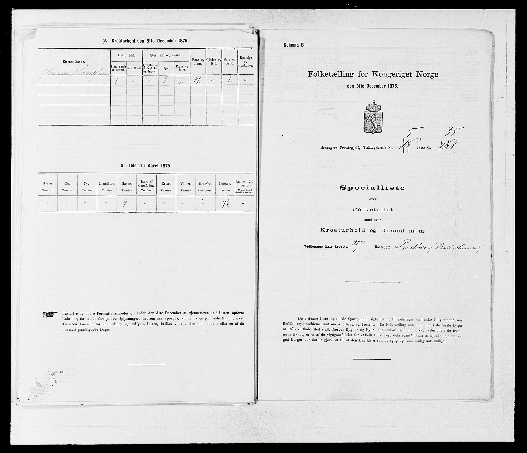 SAB, 1875 census for 1253P Hosanger, 1875, p. 495