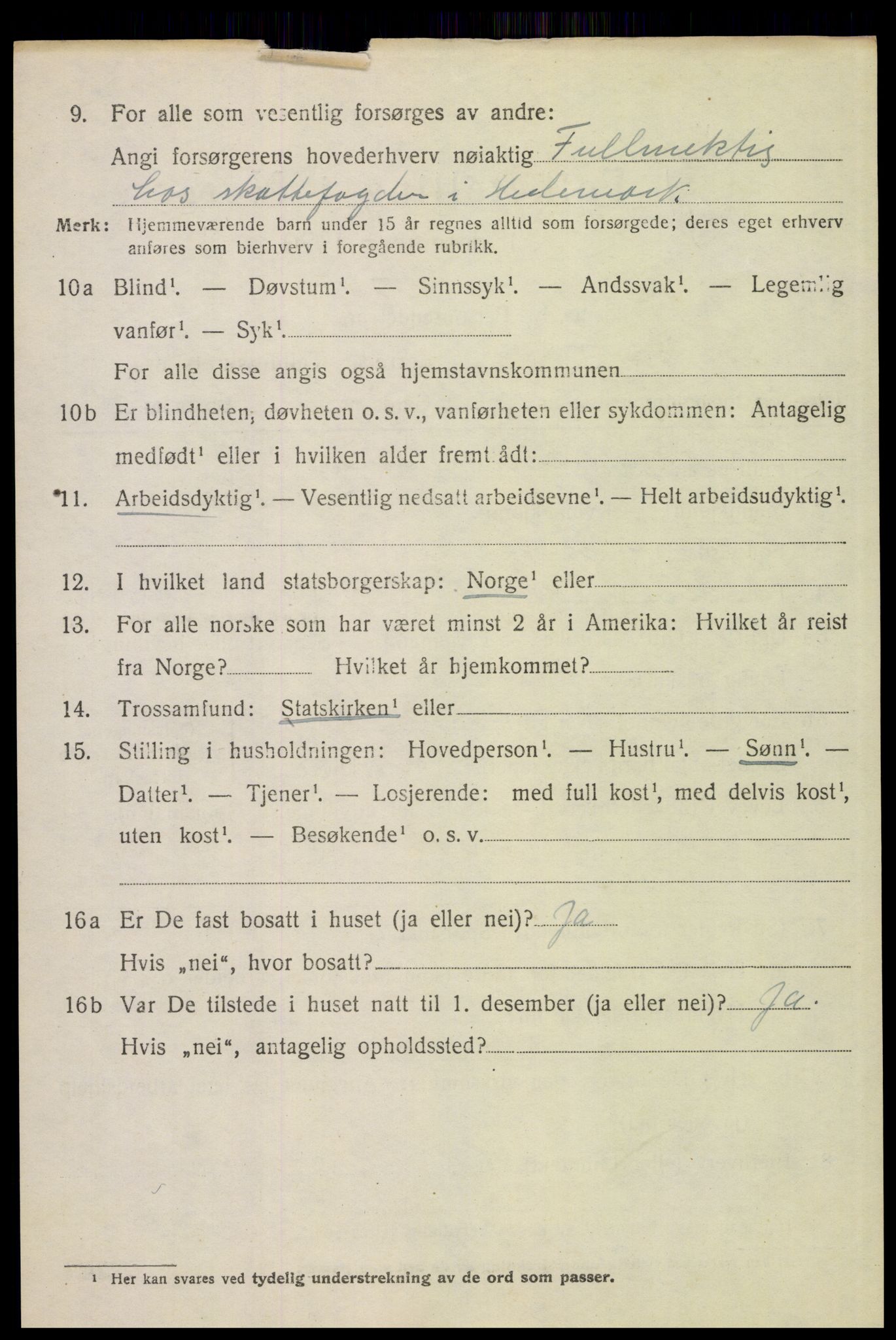 SAH, 1920 census for Tynset, 1920, p. 6911