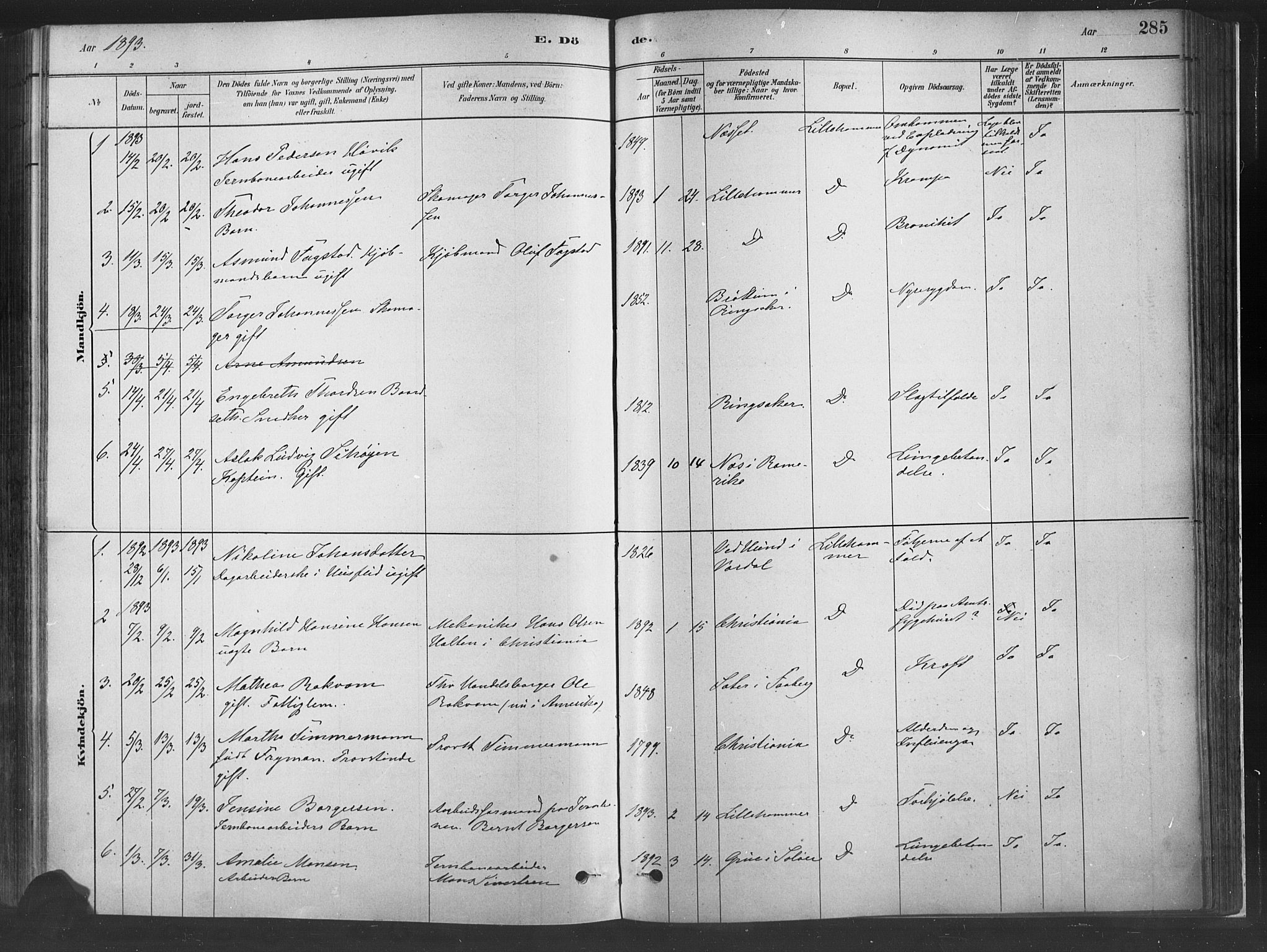 Fåberg prestekontor, SAH/PREST-086/H/Ha/Haa/L0010: Parish register (official) no. 10, 1879-1900, p. 285