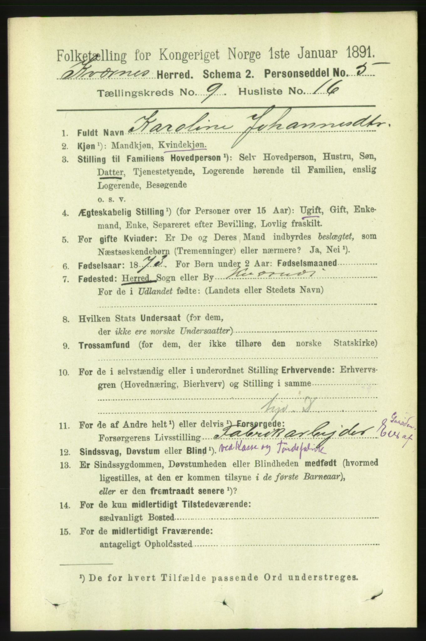 RA, 1891 census for 1553 Kvernes, 1891, p. 4040