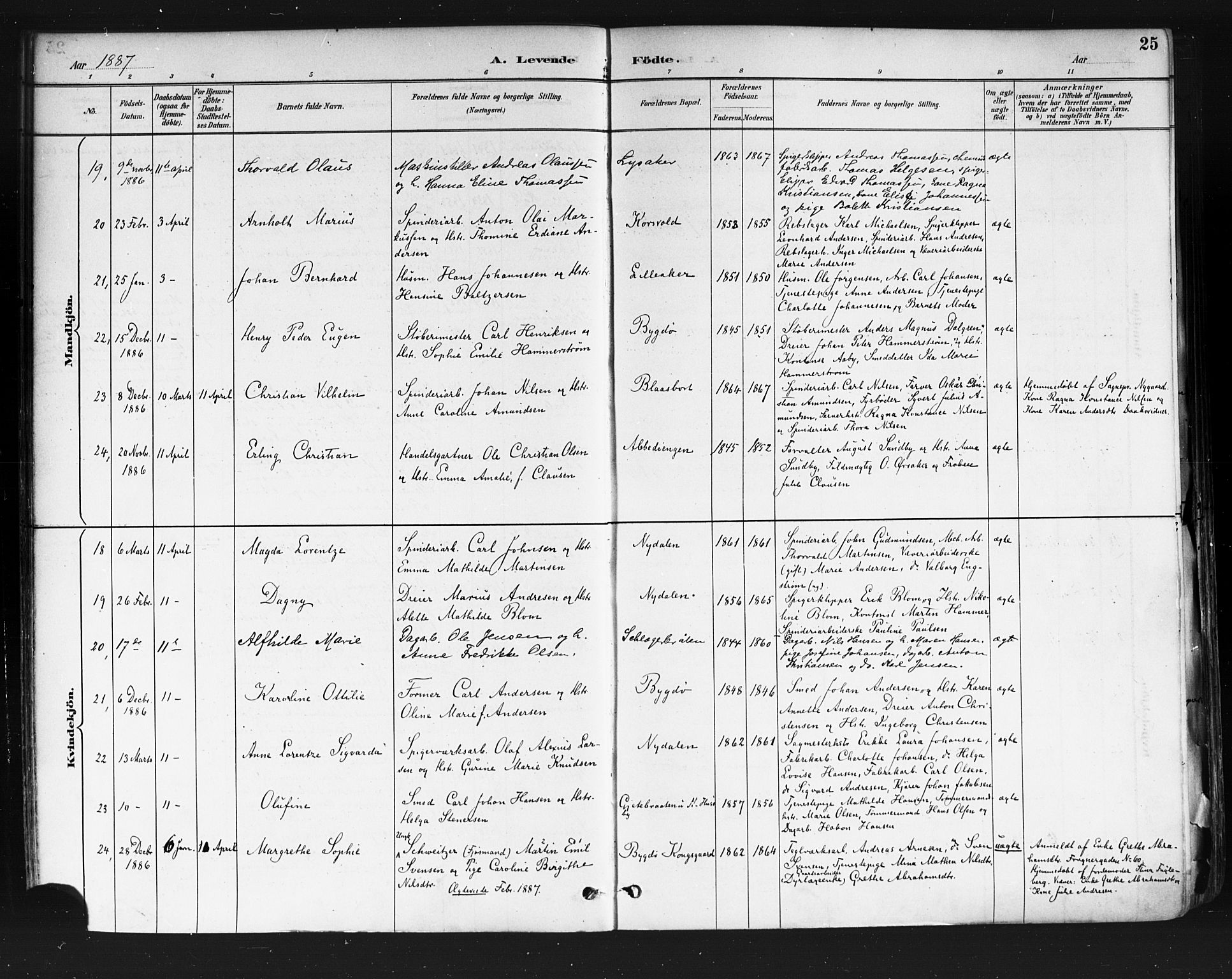 Vestre Aker prestekontor Kirkebøker, AV/SAO-A-10025/F/Fa/L0010: Parish register (official) no. 10, 1886-1903, p. 25