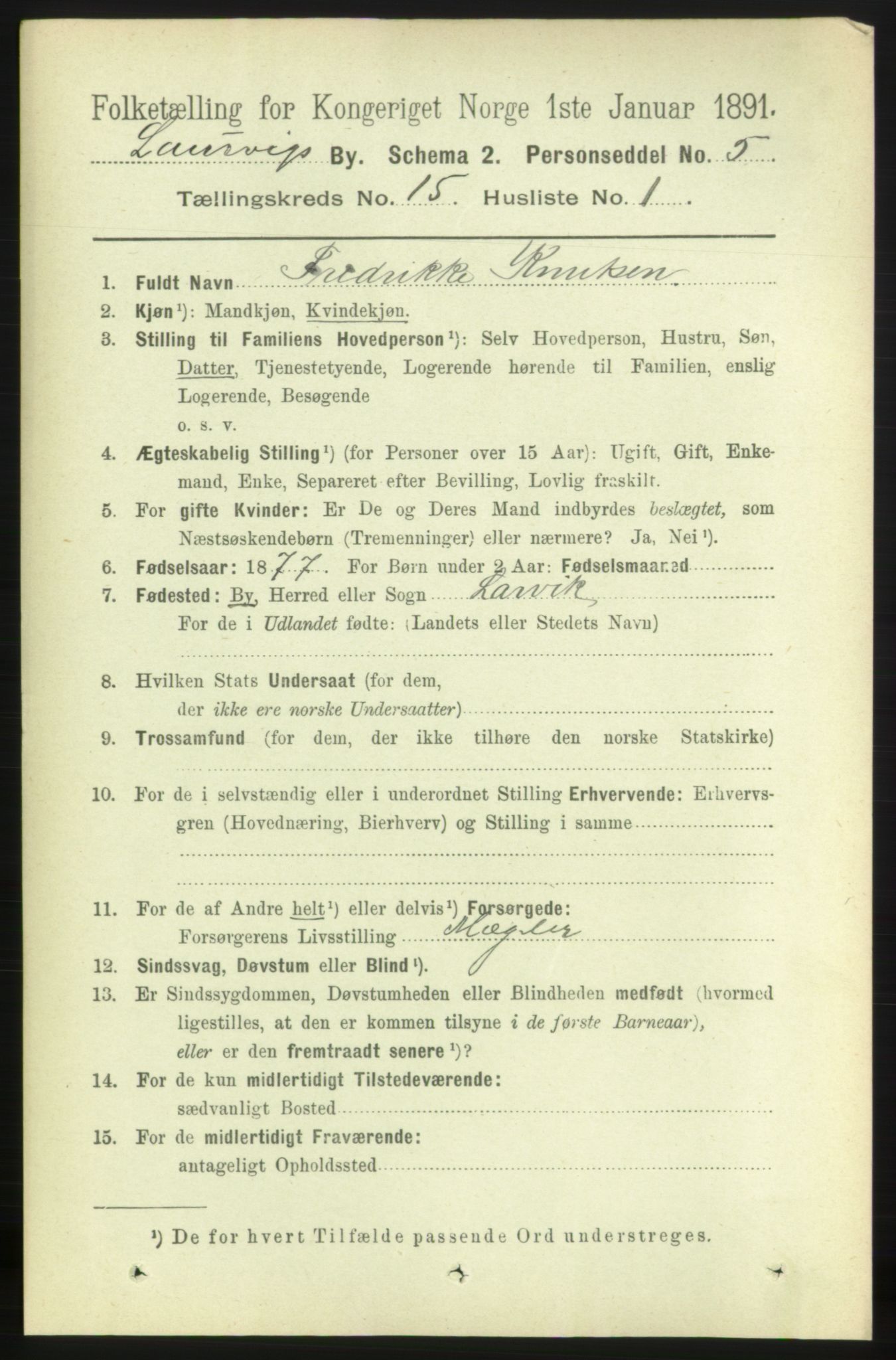 RA, 1891 census for 0707 Larvik, 1891, p. 11333