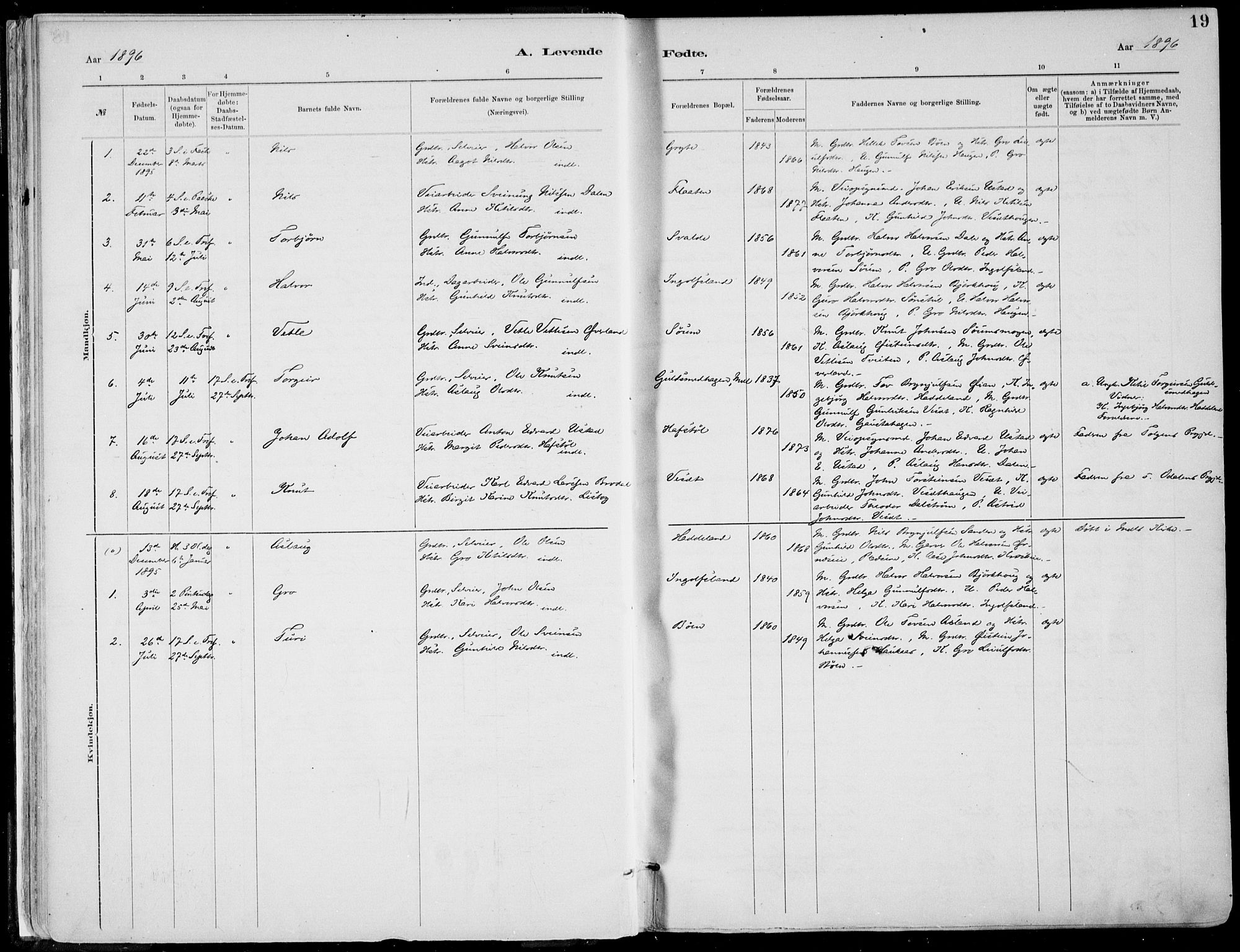 Rjukan kirkebøker, SAKO/A-294/F/Fa/L0001: Parish register (official) no. 1, 1878-1912, p. 19