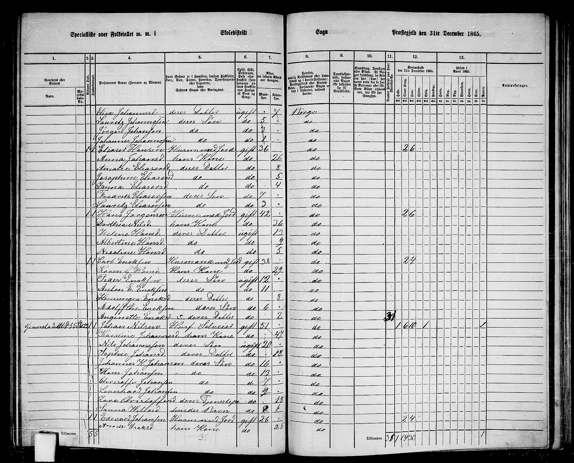 RA, 1865 census for Borge, 1865, p. 67