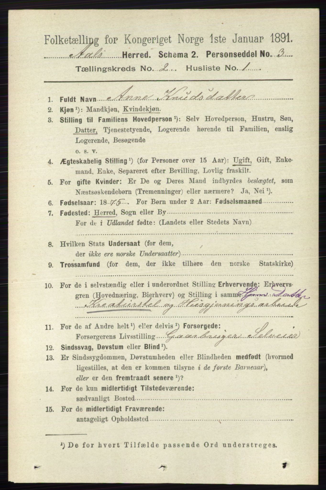 RA, 1891 census for 0619 Ål, 1891, p. 374