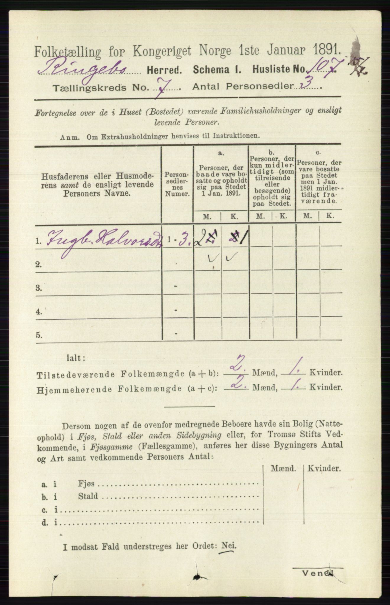 RA, 1891 census for 0520 Ringebu, 1891, p. 3030