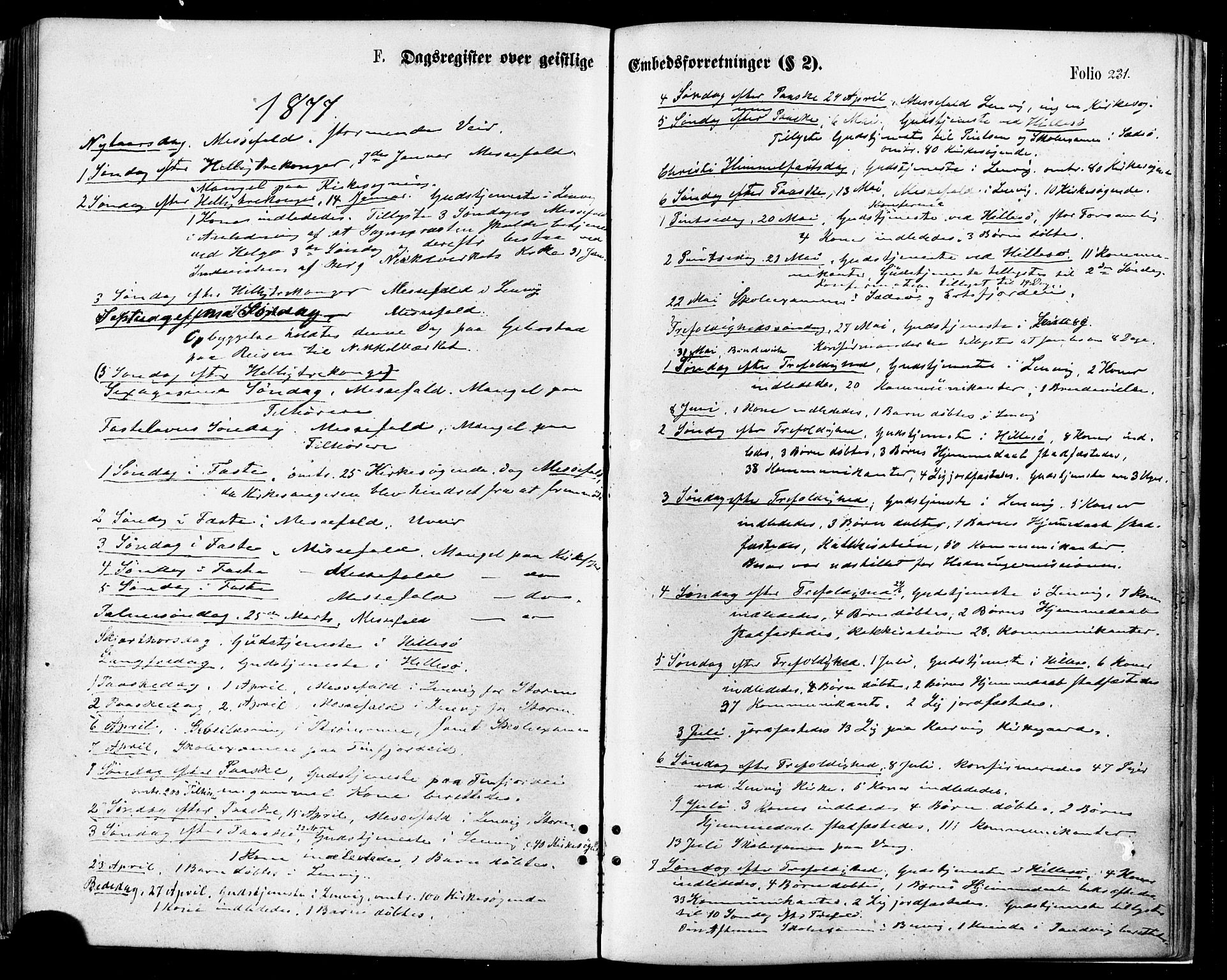 Lenvik sokneprestembete, SATØ/S-1310/H/Ha/Haa/L0010kirke: Parish register (official) no. 10, 1873-1880, p. 231