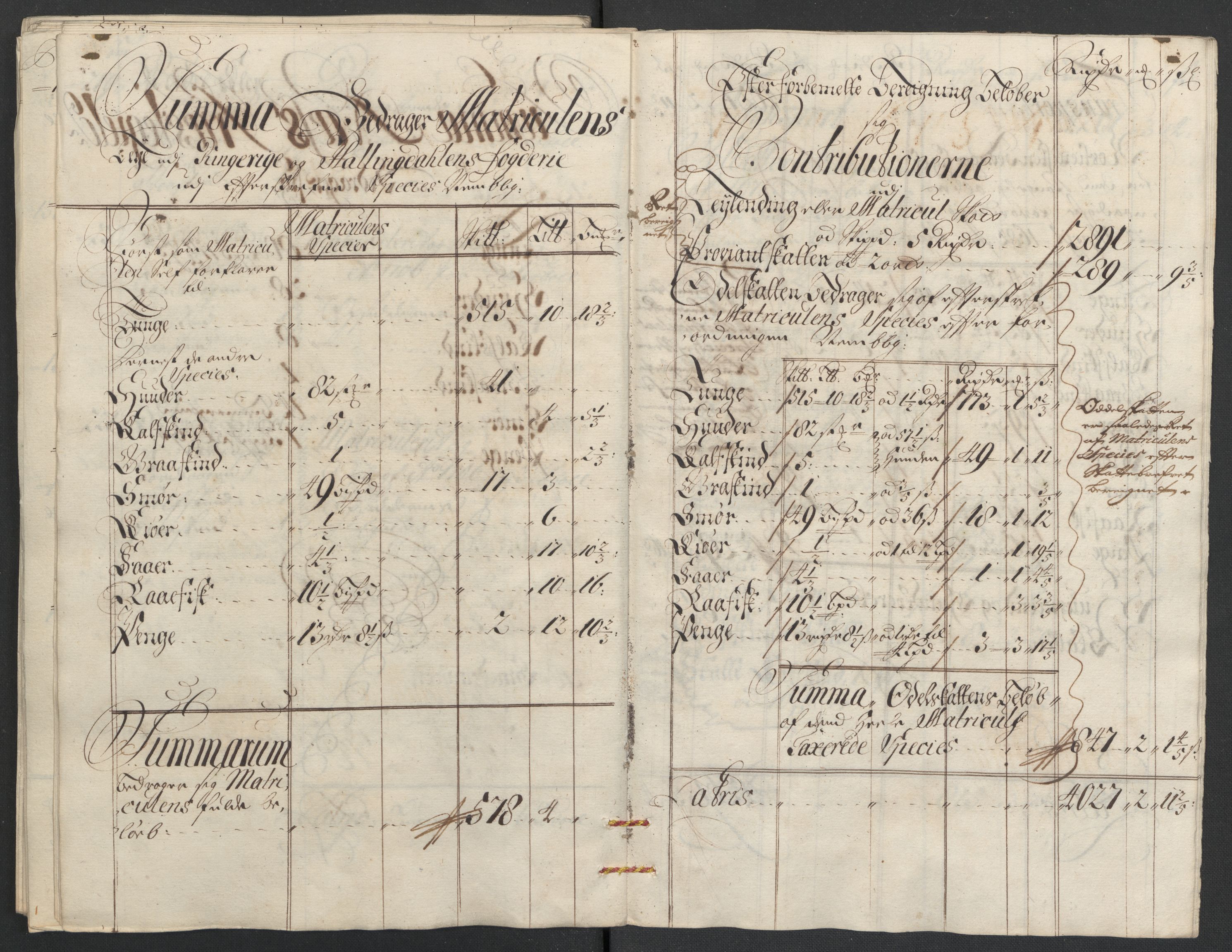 Rentekammeret inntil 1814, Reviderte regnskaper, Fogderegnskap, AV/RA-EA-4092/R22/L1467: Fogderegnskap Ringerike, Hallingdal og Buskerud, 1708, p. 120