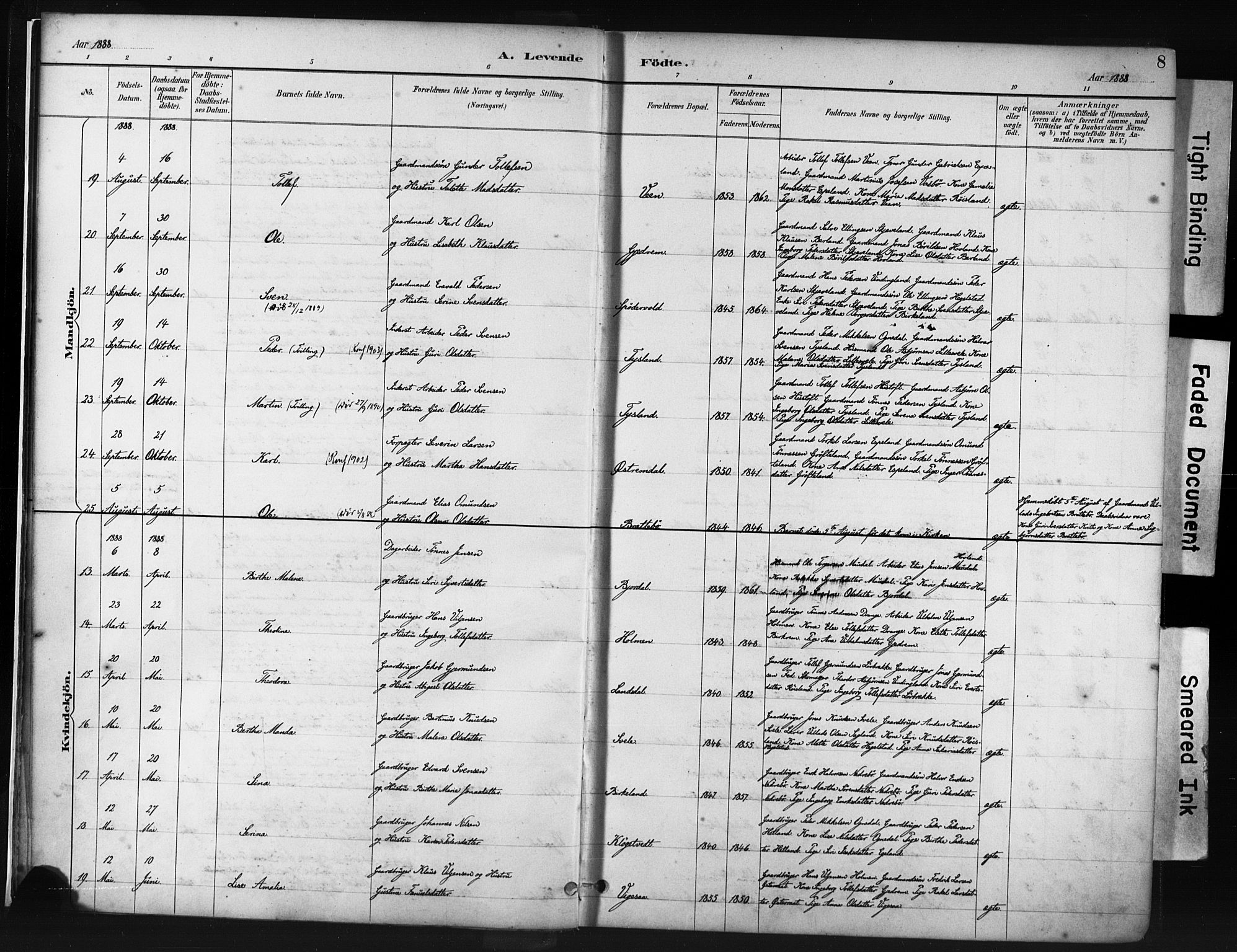 Helleland sokneprestkontor, AV/SAST-A-101810: Parish register (official) no. A 9, 1887-1908, p. 8