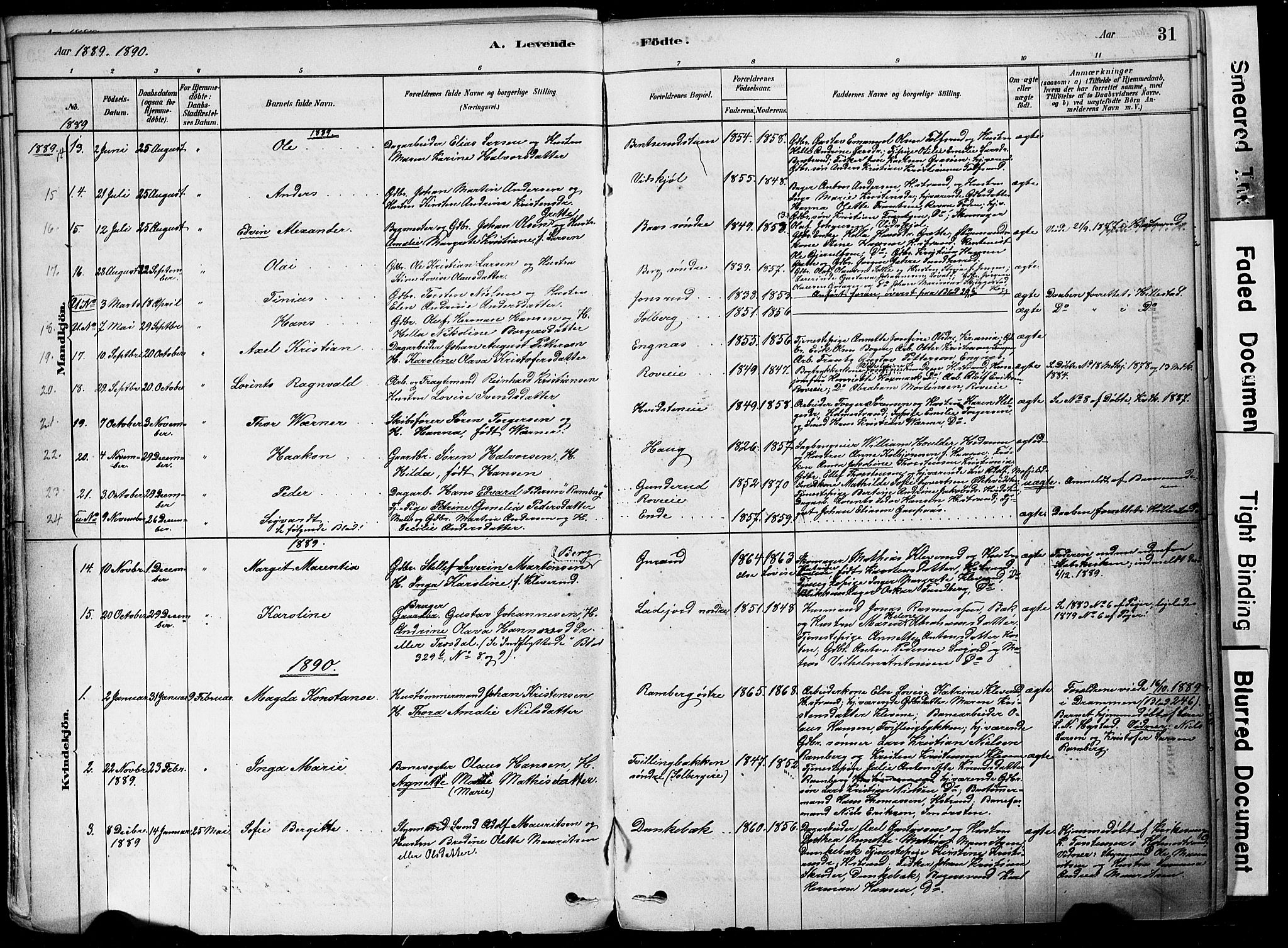 Botne kirkebøker, SAKO/A-340/F/Fa/L0007: Parish register (official) no. I 7, 1878-1910, p. 31