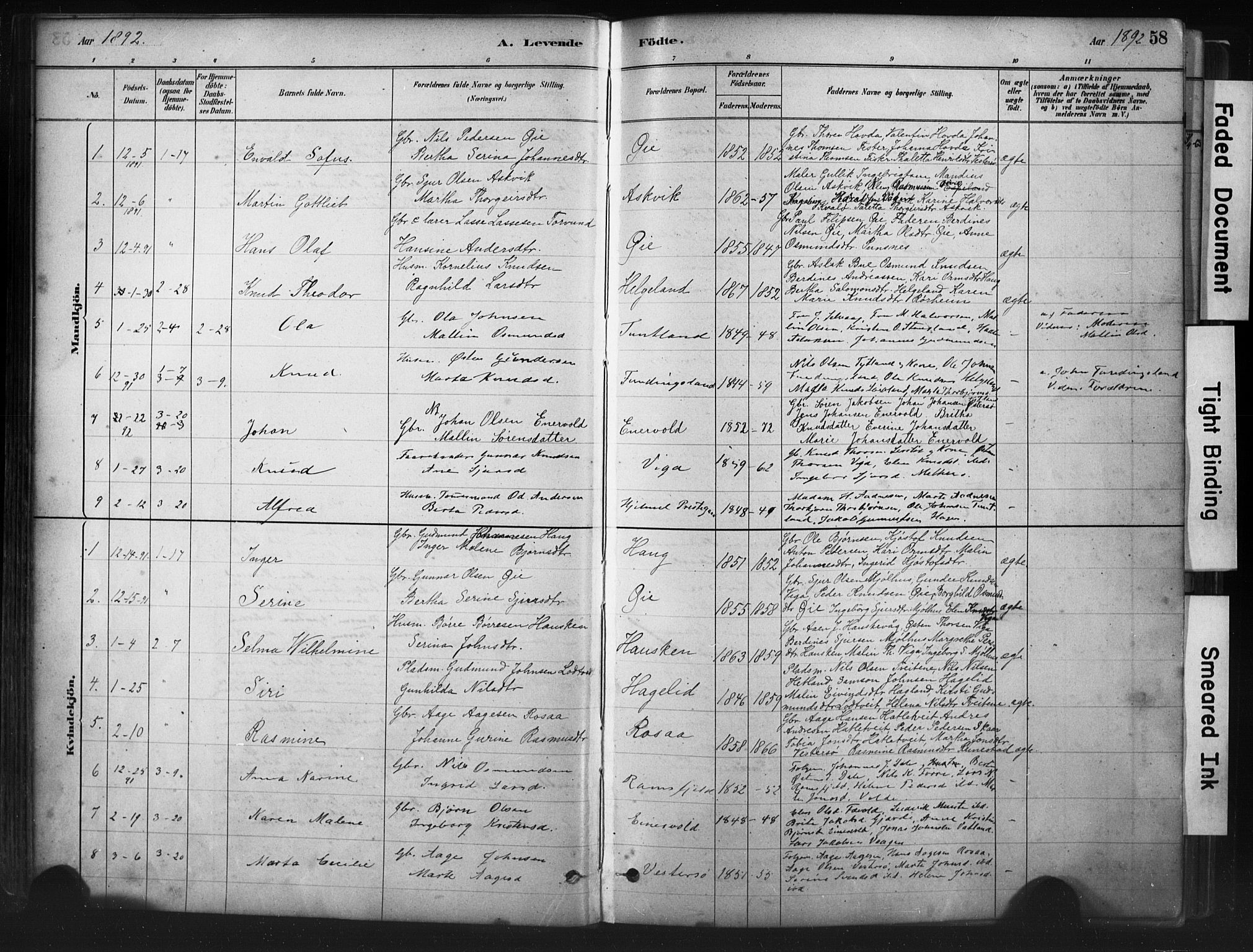Hjelmeland sokneprestkontor, SAST/A-101843/01/IV/L0014: Parish register (official) no. A 14, 1879-1900, p. 58