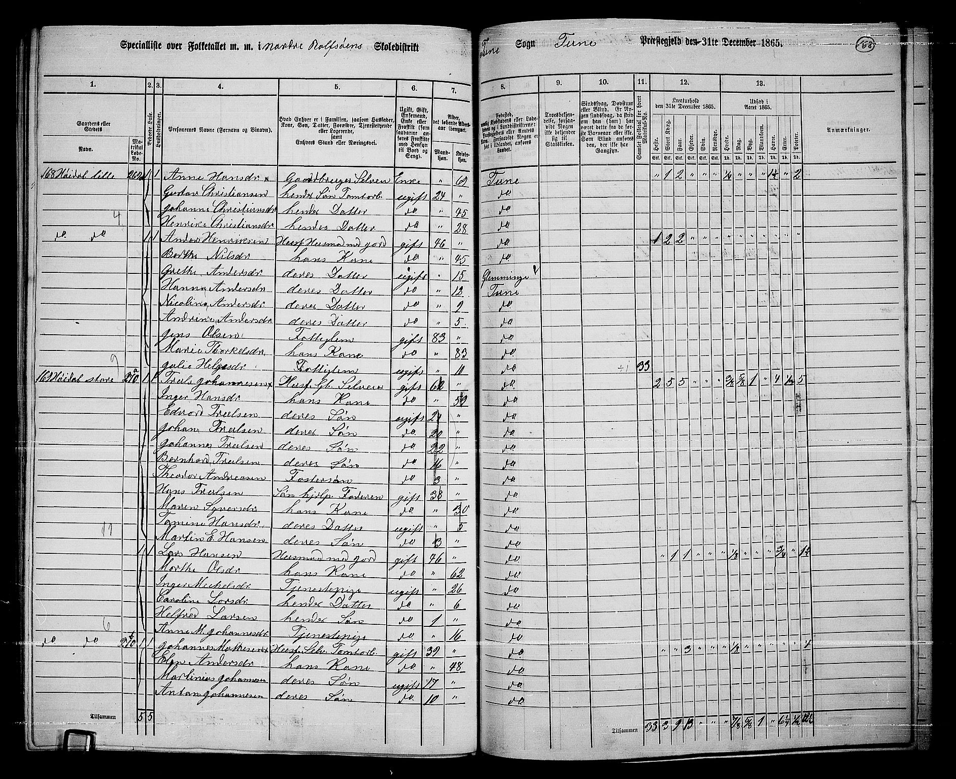 RA, 1865 census for Tune, 1865, p. 247