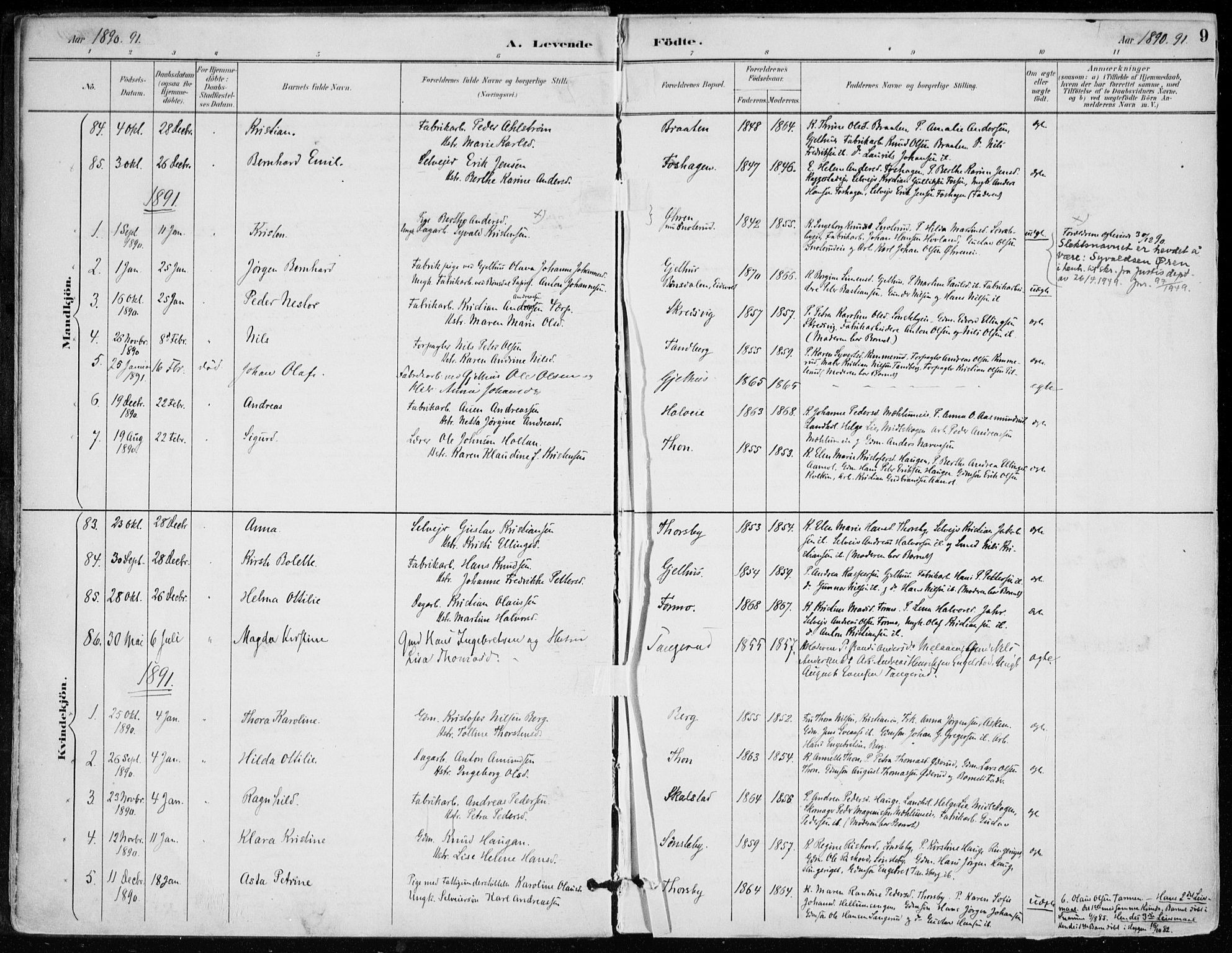 Modum kirkebøker, AV/SAKO-A-234/F/Fa/L0012: Parish register (official) no. 12, 1890-1898, p. 9