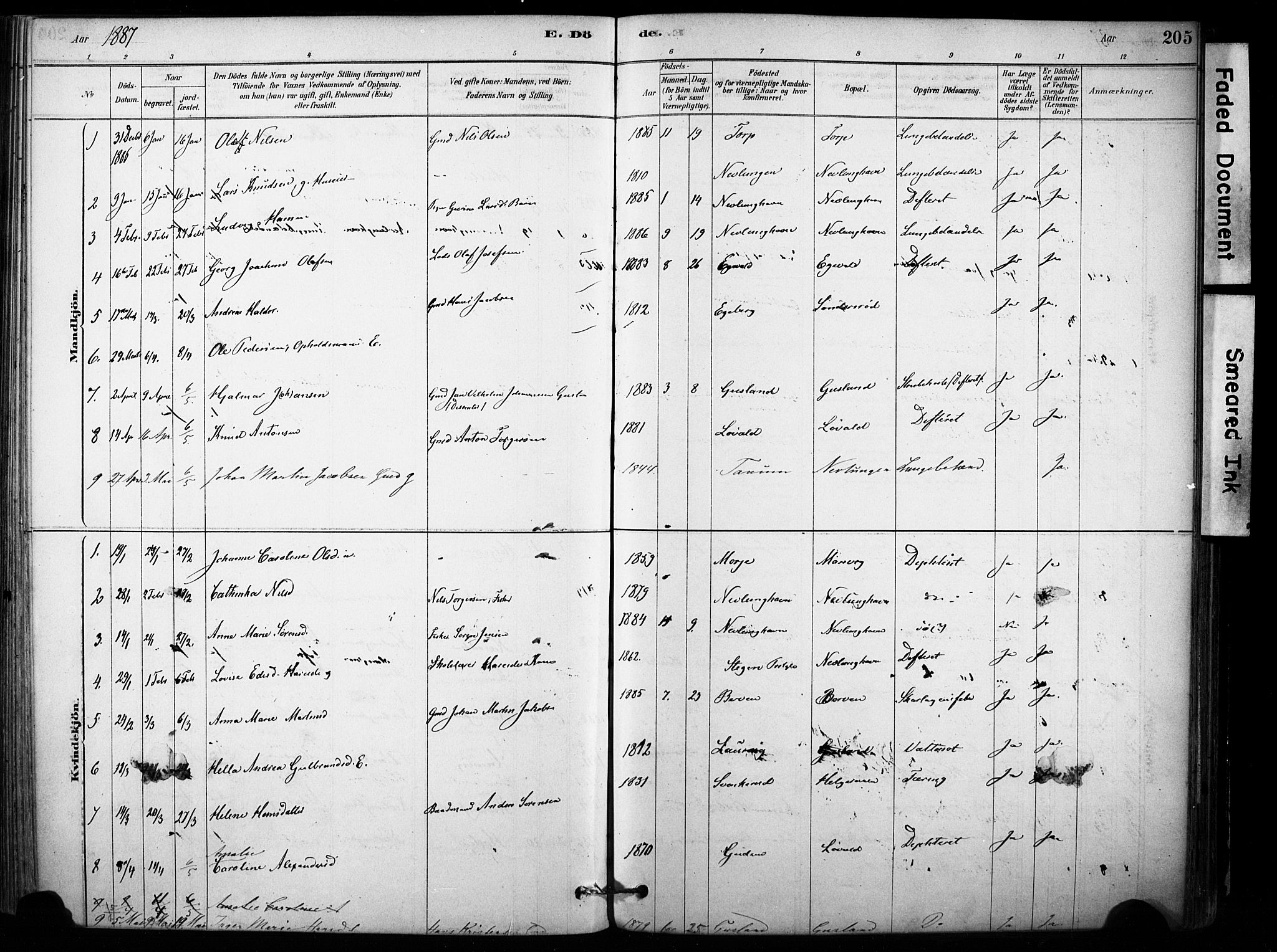 Brunlanes kirkebøker, AV/SAKO-A-342/F/Fb/L0001: Parish register (official) no. II 1, 1878-1899, p. 205