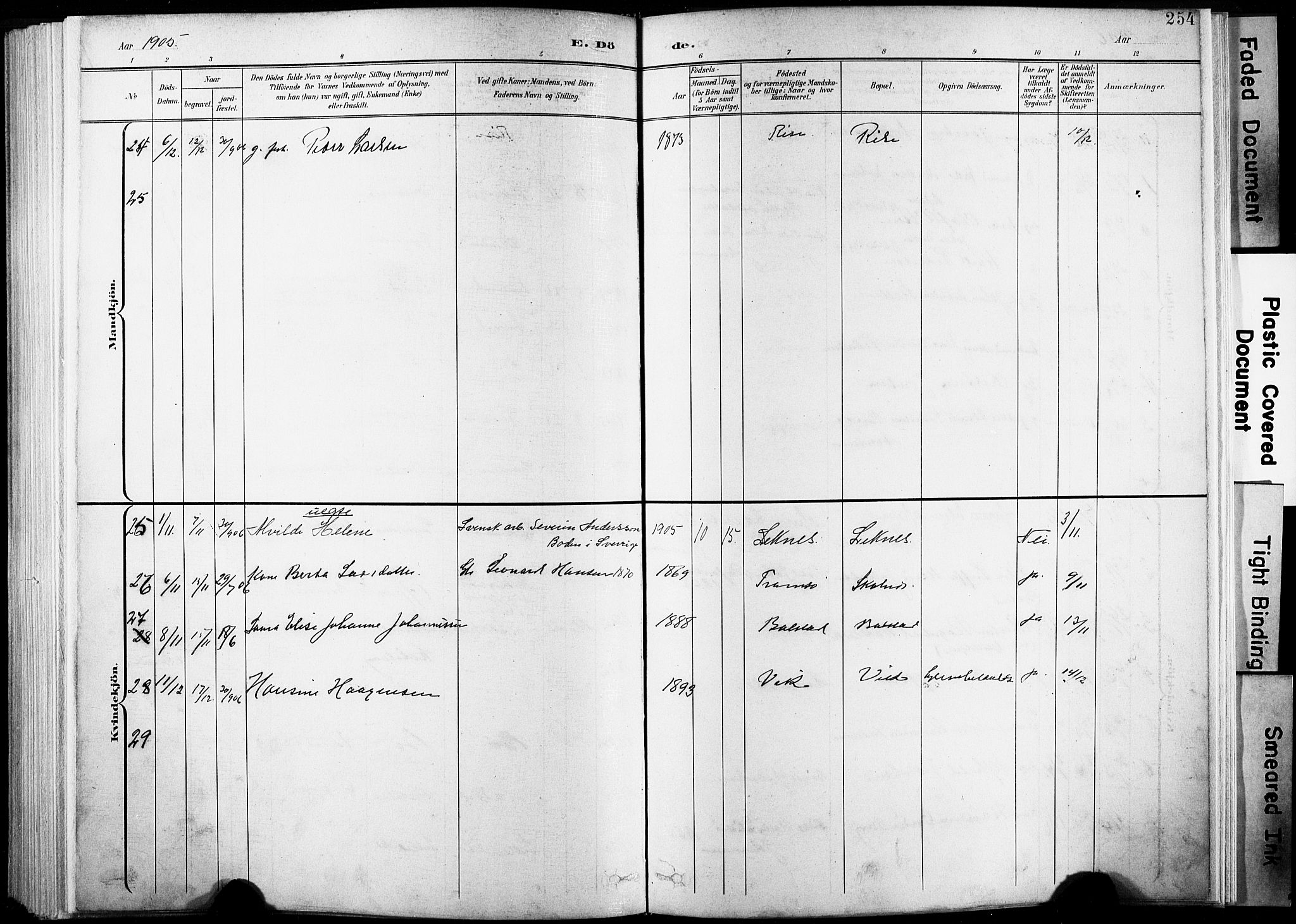 Ministerialprotokoller, klokkerbøker og fødselsregistre - Nordland, AV/SAT-A-1459/881/L1151: Parish register (official) no. 881A04, 1899-1907, p. 254