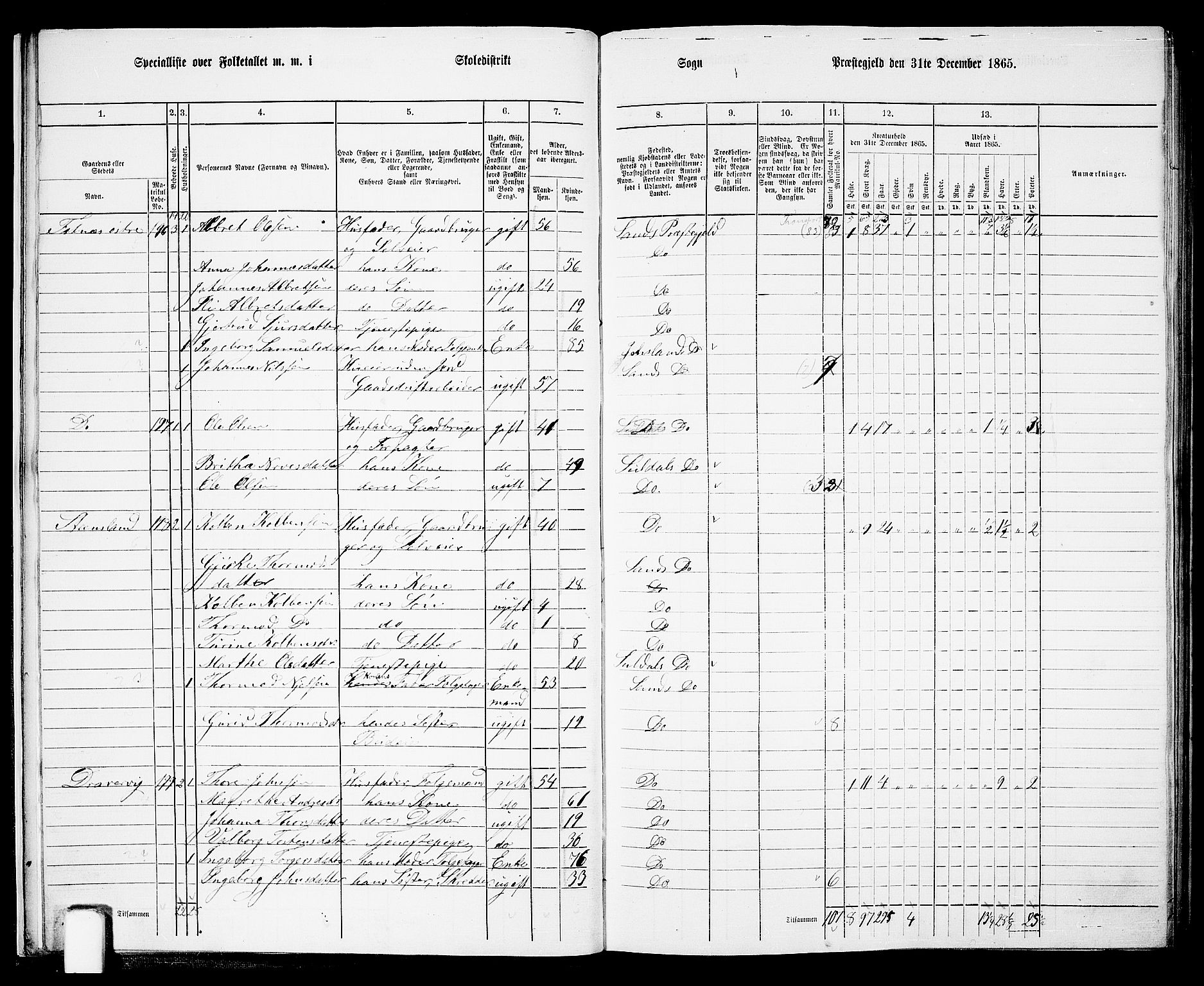 RA, 1865 census for Sand, 1865, p. 14