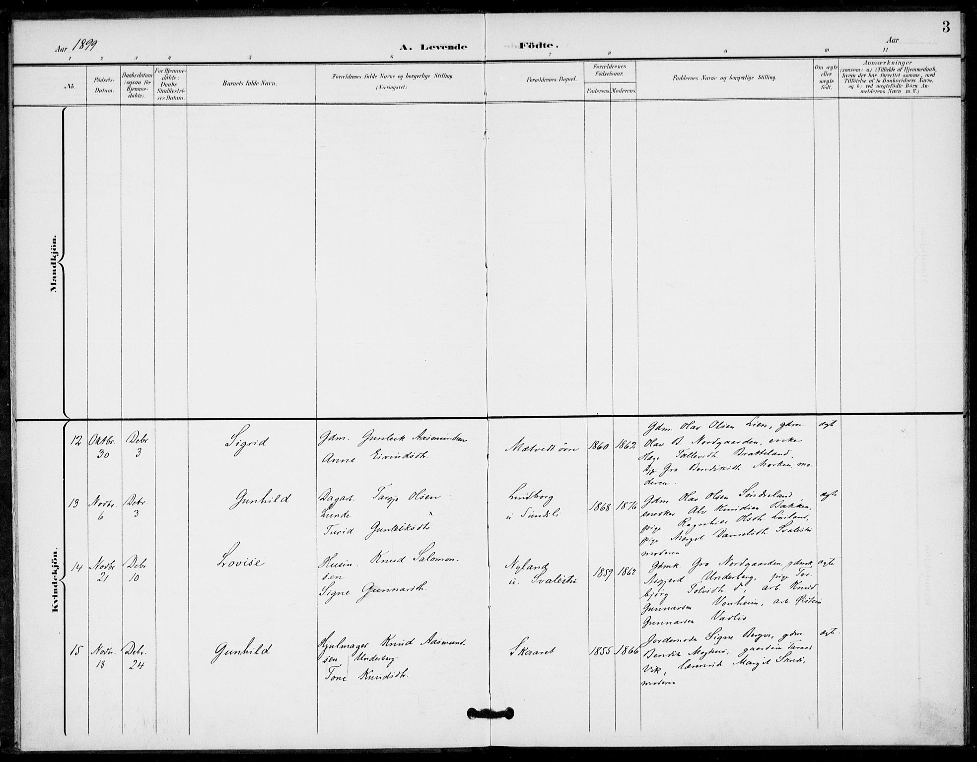 Fyresdal kirkebøker, AV/SAKO-A-263/F/Fa/L0008: Parish register (official) no. I 8, 1899-1914, p. 3