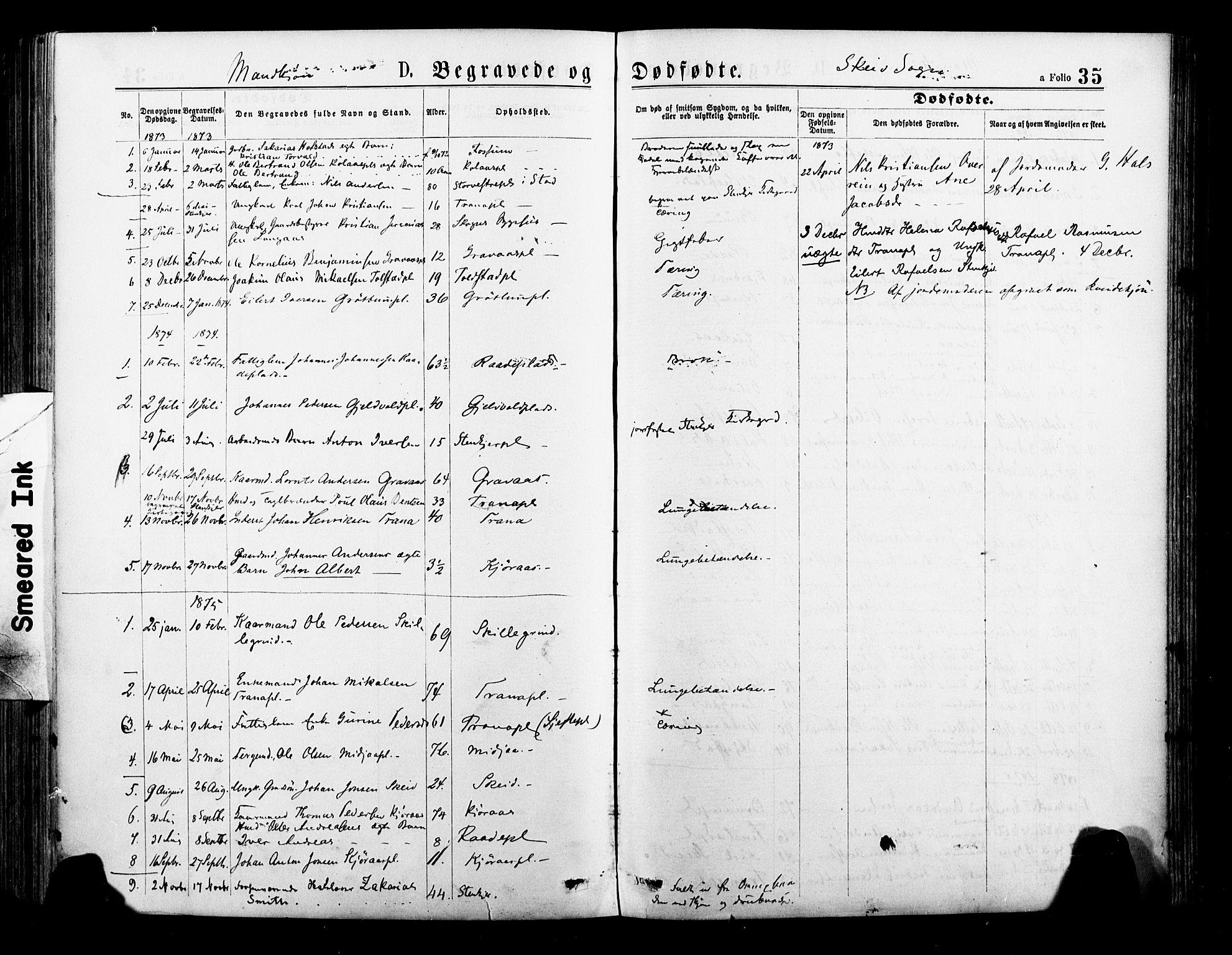 Ministerialprotokoller, klokkerbøker og fødselsregistre - Nord-Trøndelag, AV/SAT-A-1458/735/L0348: Parish register (official) no. 735A09 /2, 1873-1883, p. 35