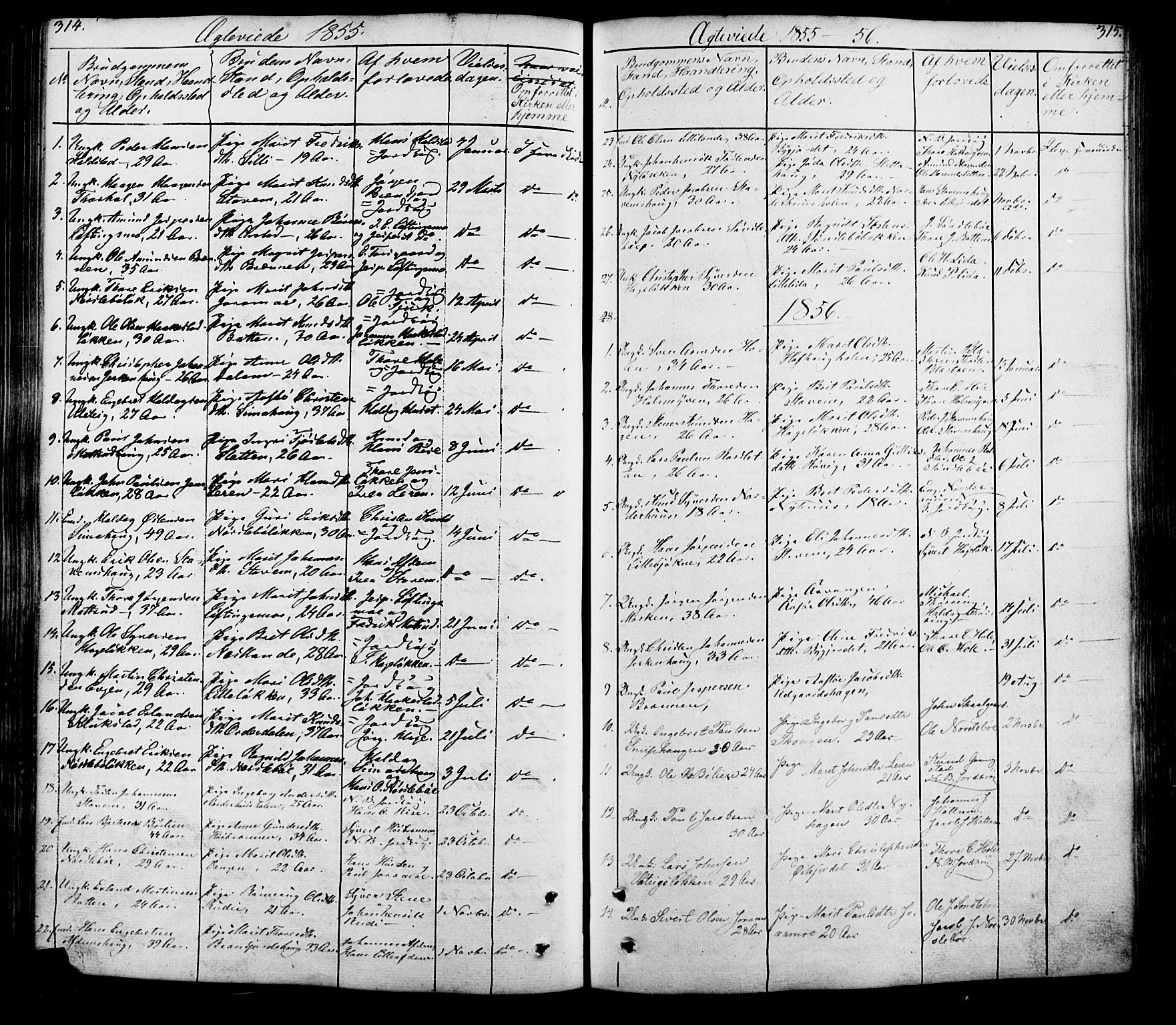 Lesja prestekontor, SAH/PREST-068/H/Ha/Hab/L0005: Parish register (copy) no. 5, 1850-1894, p. 314-315