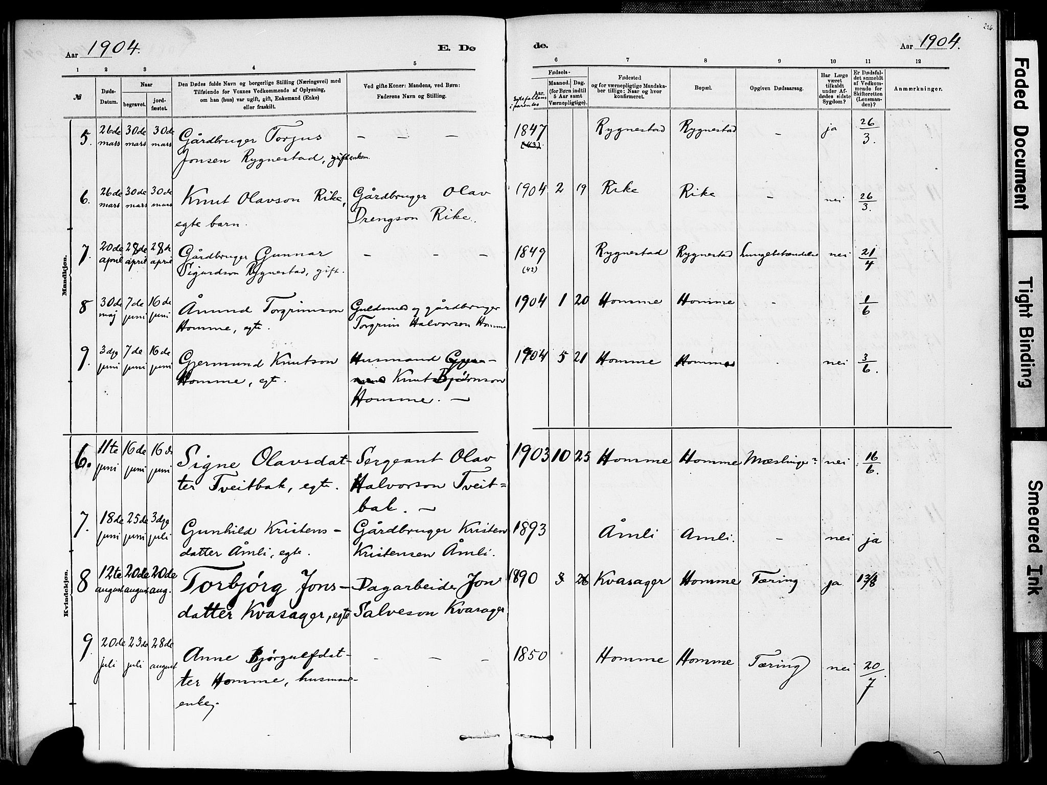 Valle sokneprestkontor, AV/SAK-1111-0044/F/Fa/Fac/L0009: Parish register (official) no. A 9, 1882-1913, p. 226