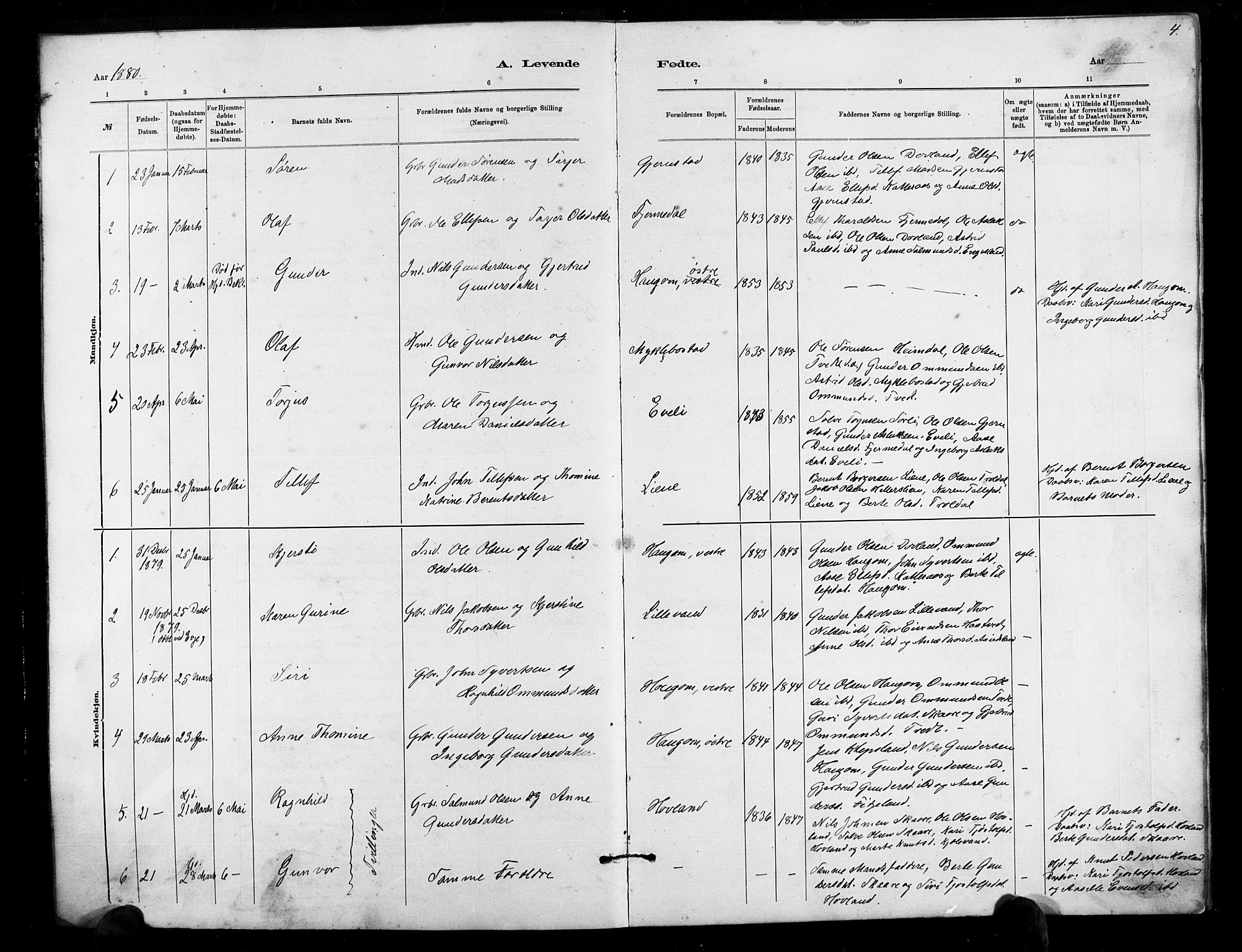 Herefoss sokneprestkontor, AV/SAK-1111-0019/F/Fb/Fbb/L0002: Parish register (copy) no. B 2, 1879-1894, p. 4