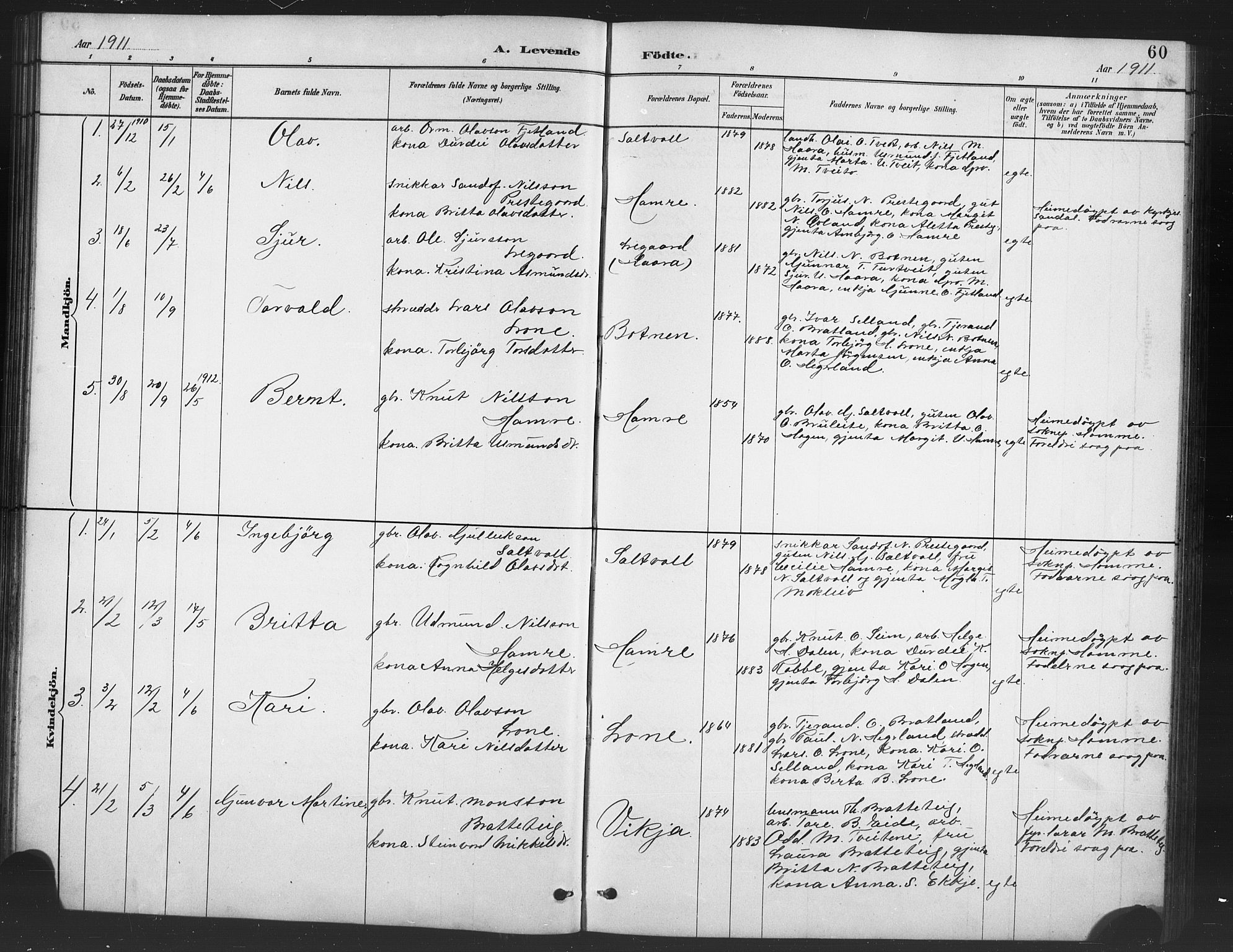 Røldal sokneprestembete, SAB/A-100247: Parish register (copy) no. A 3, 1887-1917, p. 60