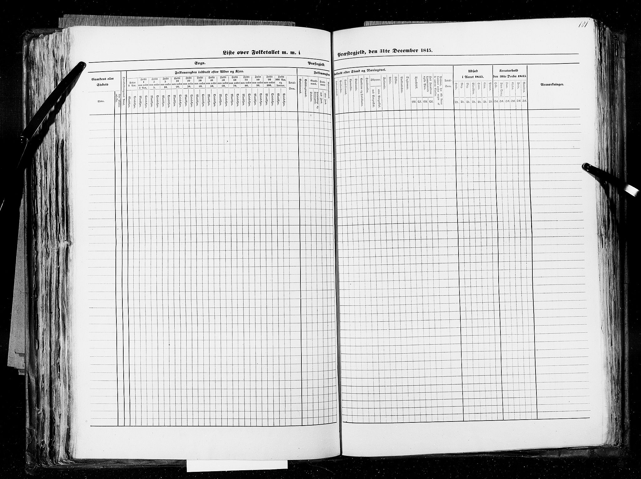 RA, Census 1845, vol. 5: Bratsberg amt og Nedenes og Råbyggelaget amt, 1845, p. 181